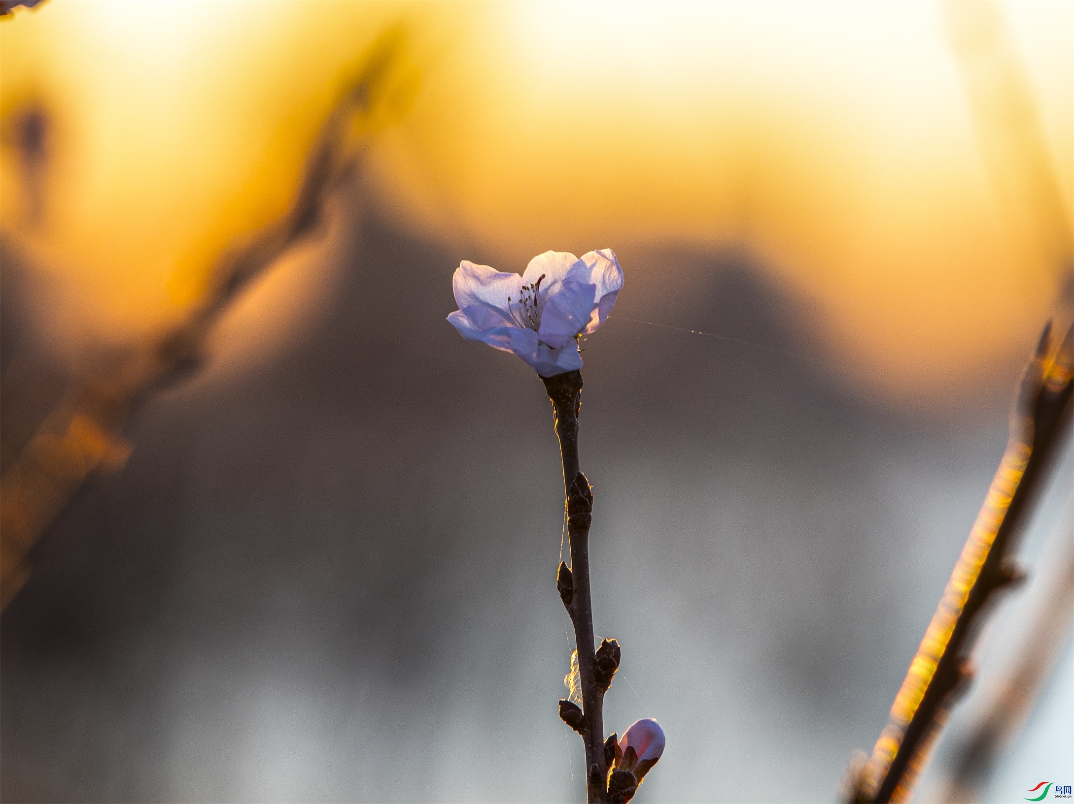 CY4A0725 ����1.jpg