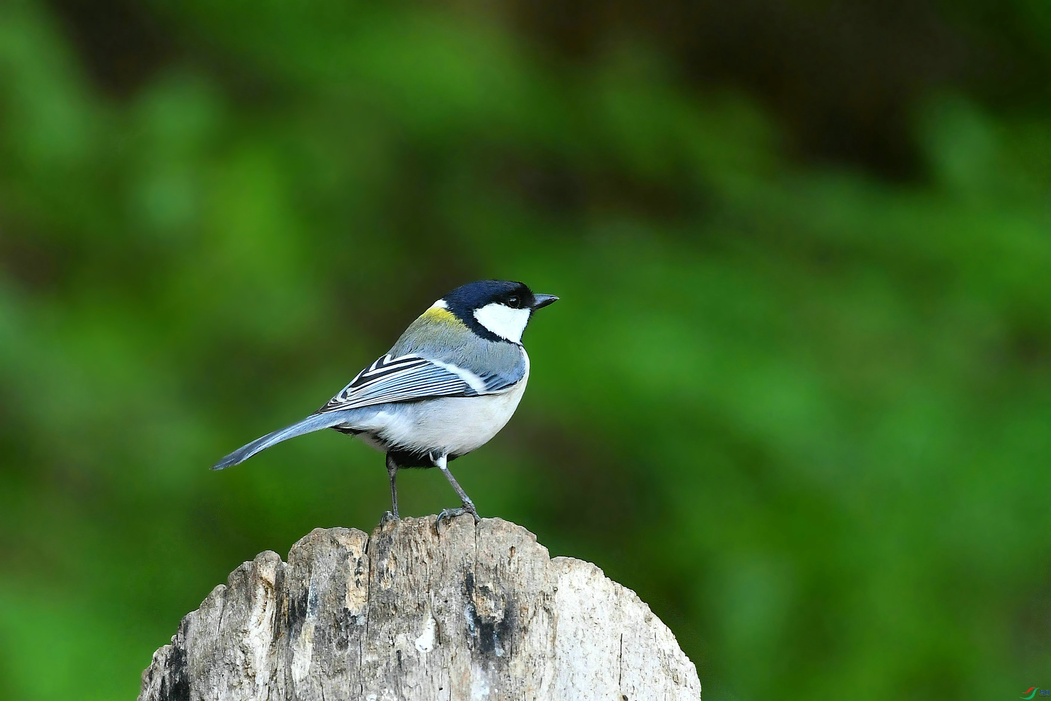 DSC_0643.JPG