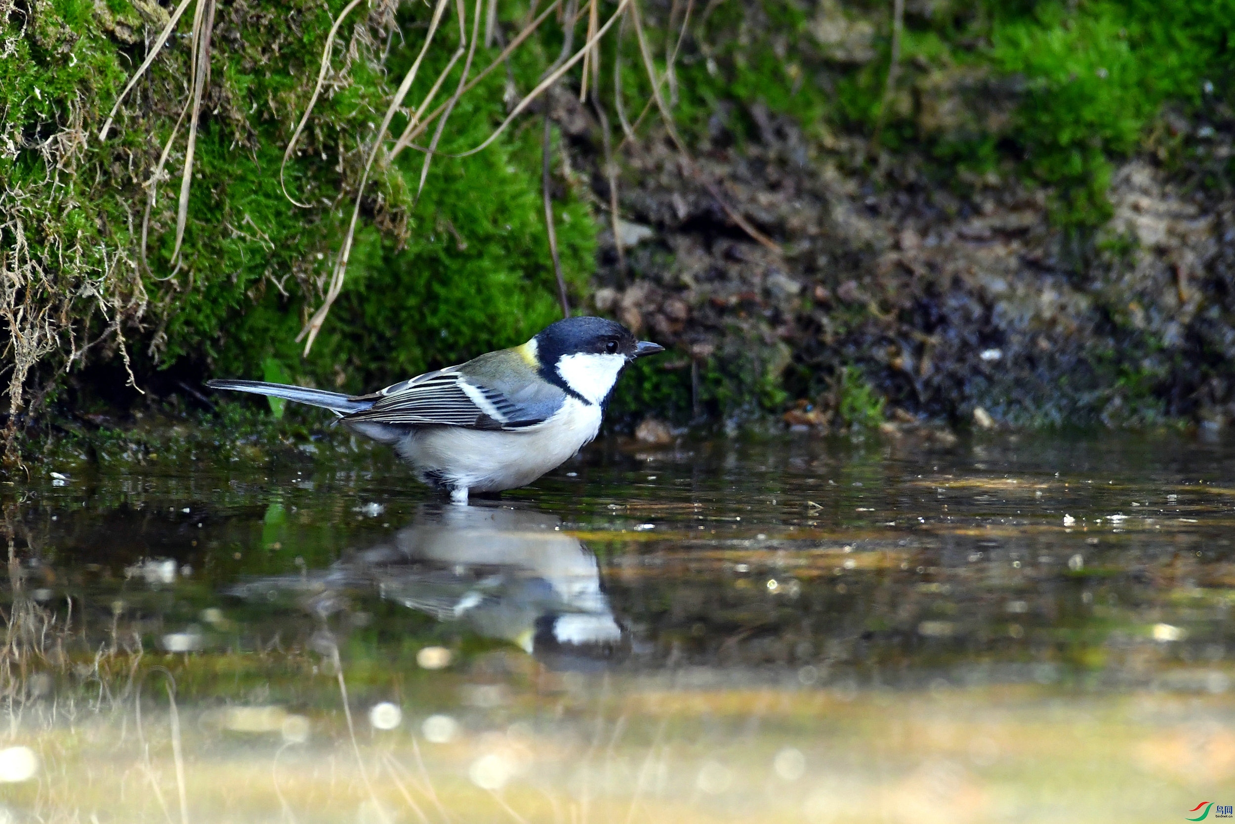 DSC_1034.JPG