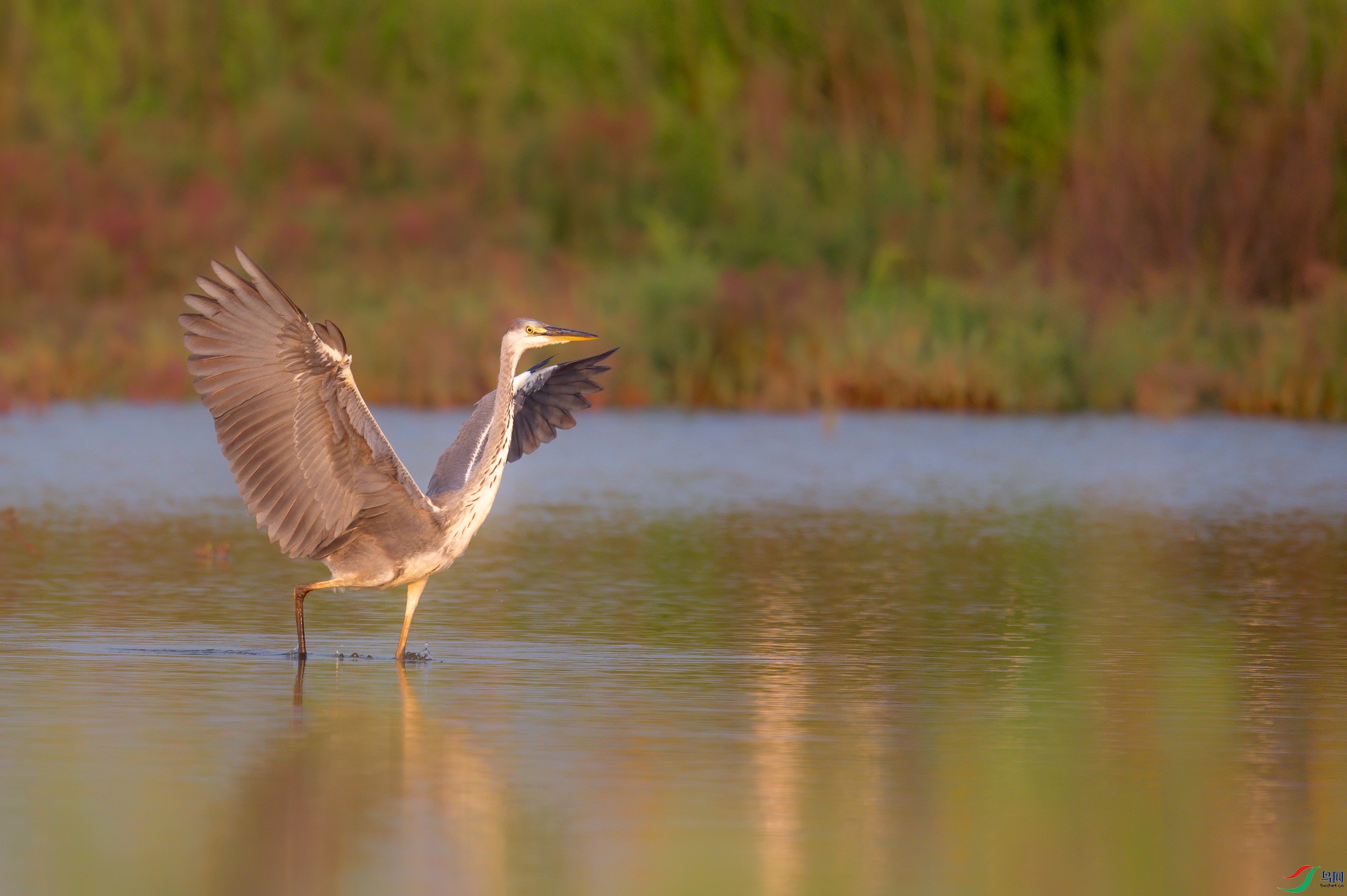 sen2016 8-20-18-�༭-2.jpg