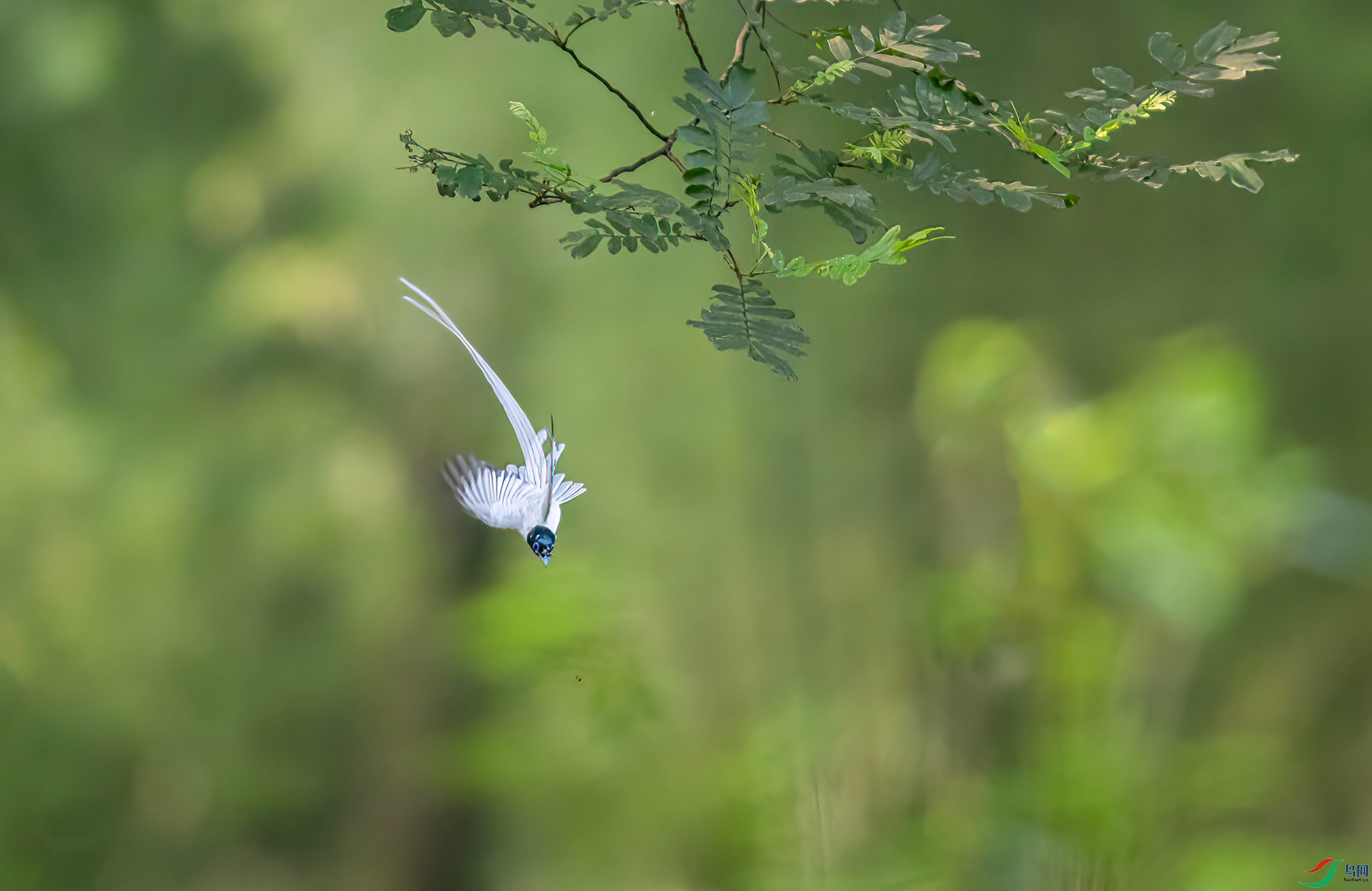 _S7I5970 ����-Sh----1  .jpg