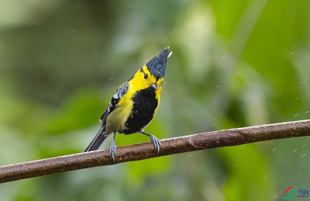 �Ƽ�ɽȸ (2).jpg