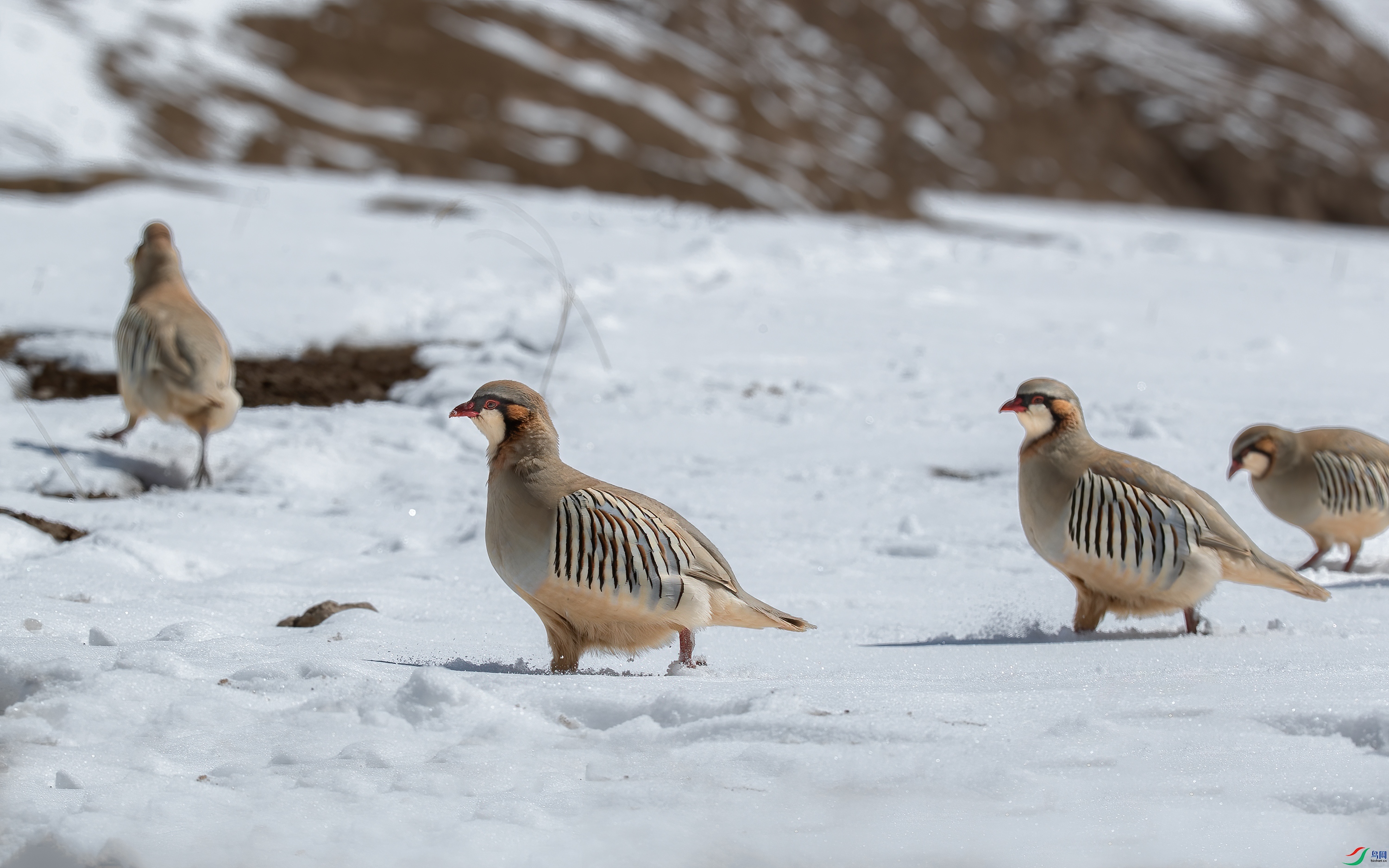 AY8I0023 ����.jpeg