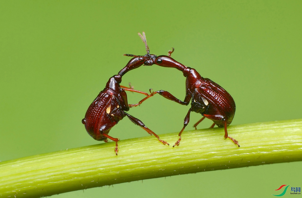 DSC_3993 �� ����.jpg