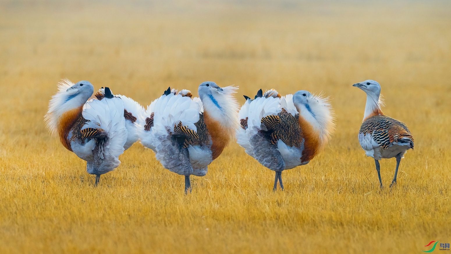 ��Ƭ10055 ����.jpg