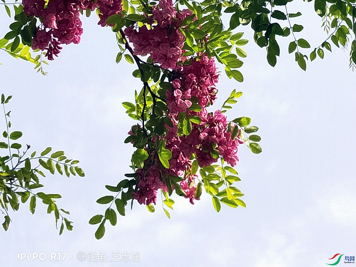 IMG20240421085100 ����.jpg