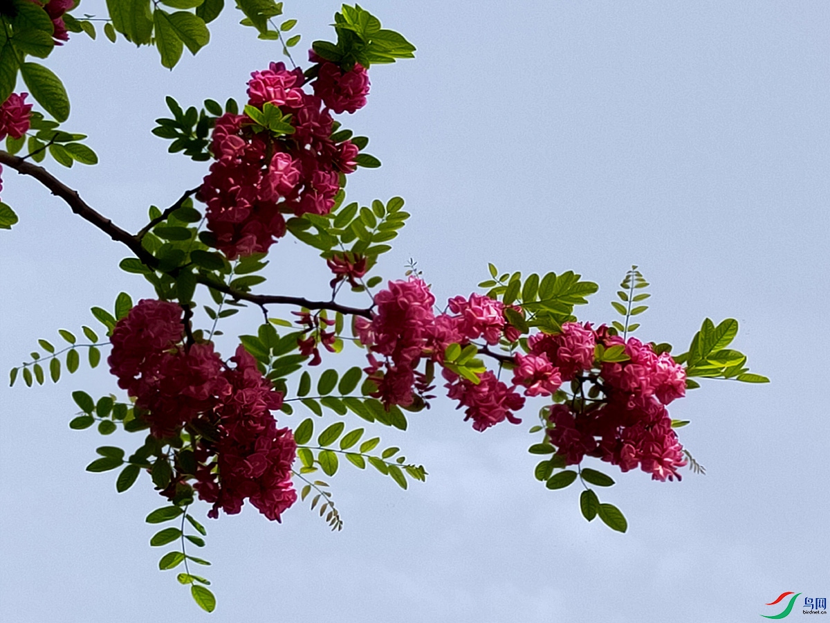 IMG20240421084853.jpg