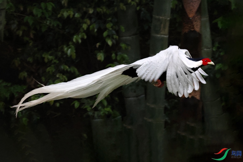A28A0087-.jpg