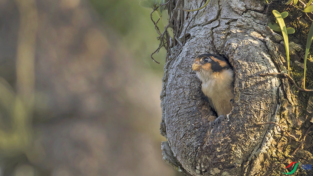 _97A7526-CR3 copy.jpg