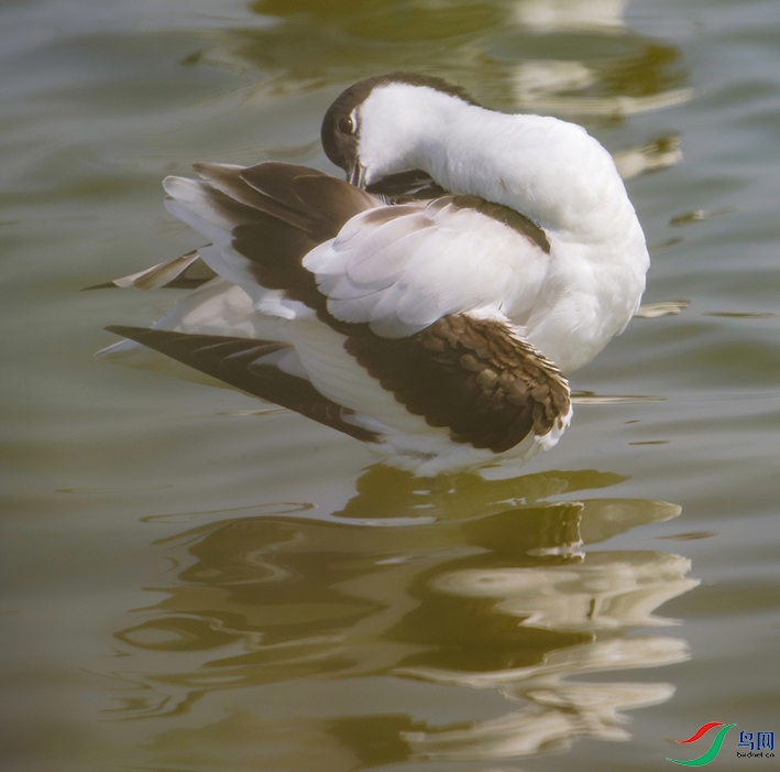 ������ϴ��