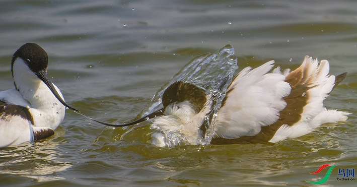 ������ϴ��