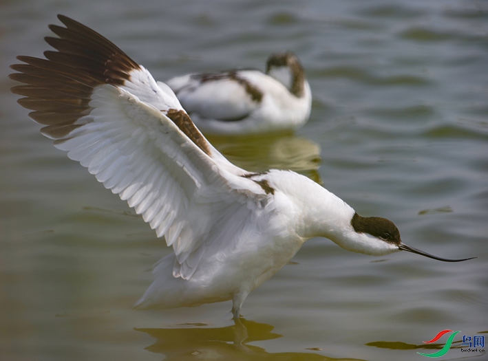 ������ϴ��