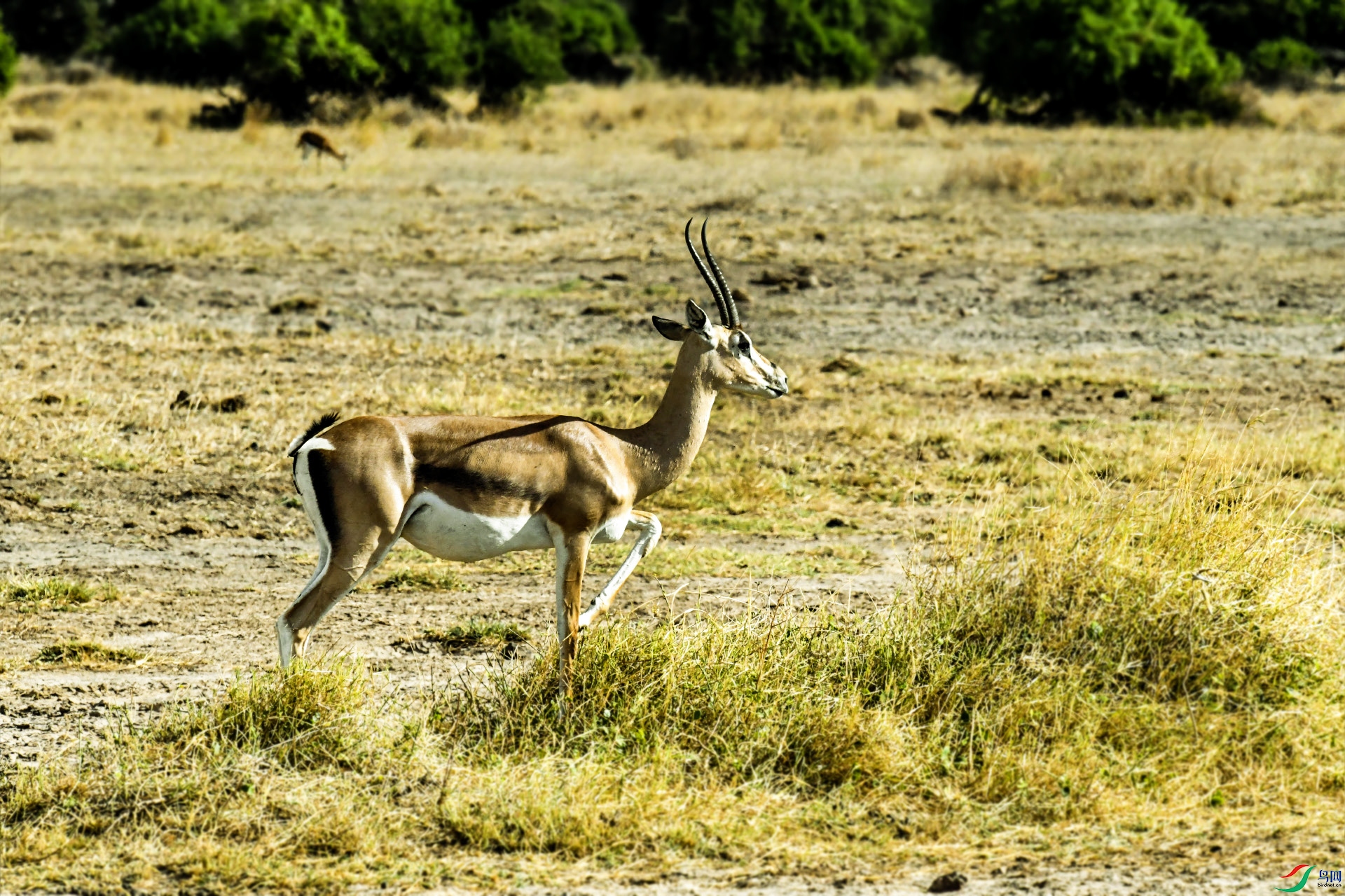 DSC_1126 ���� 2.jpg