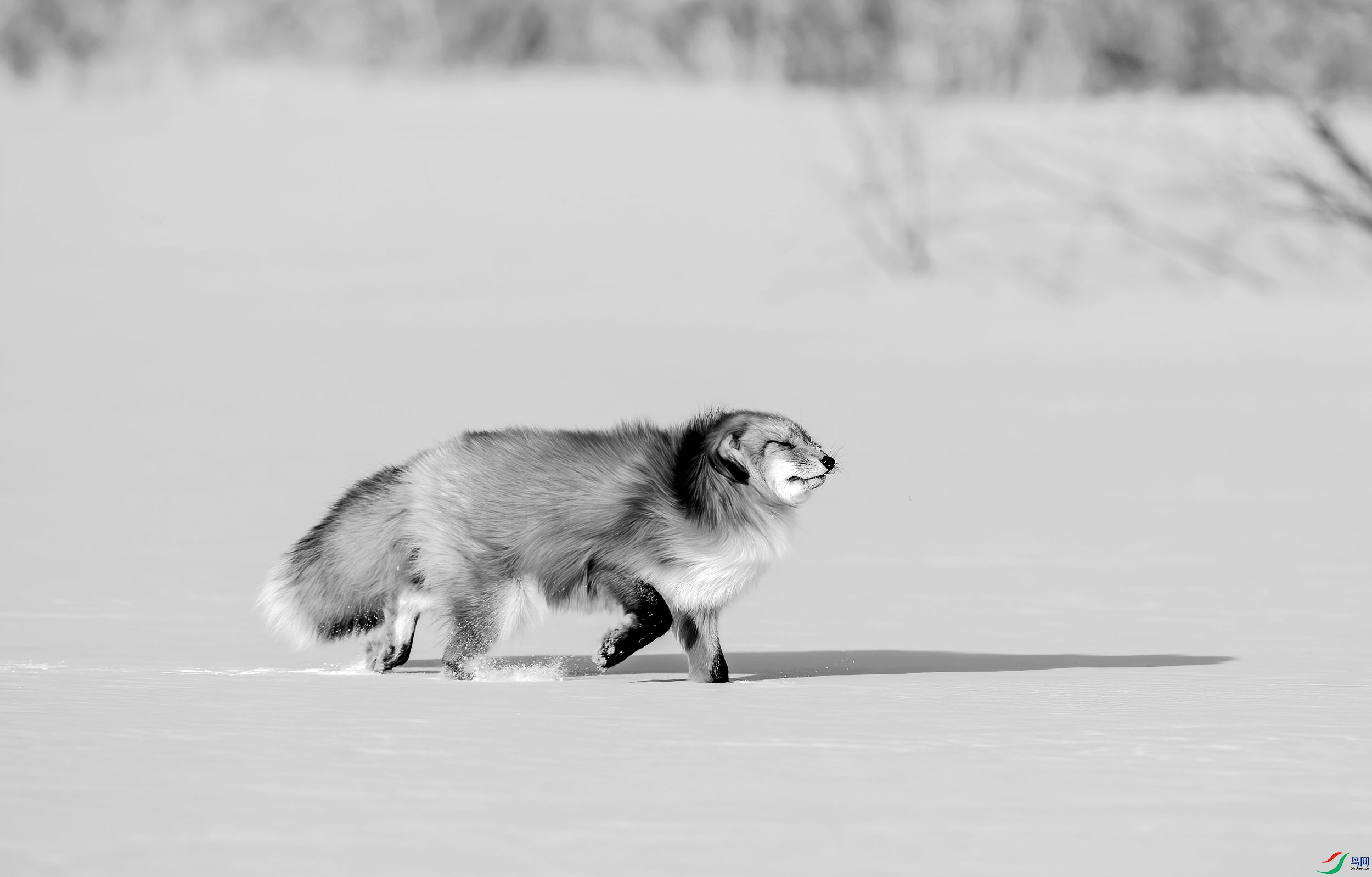 AC3I1642 ����_����.jpg