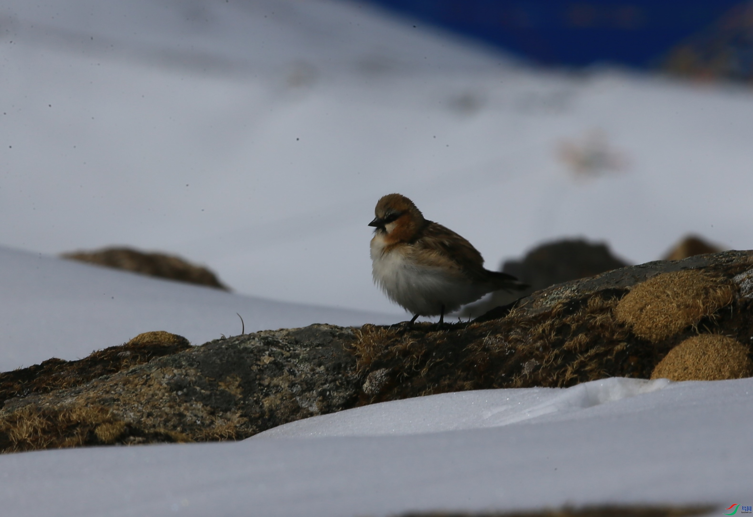 �ؾ�ѩȸ (10).JPG