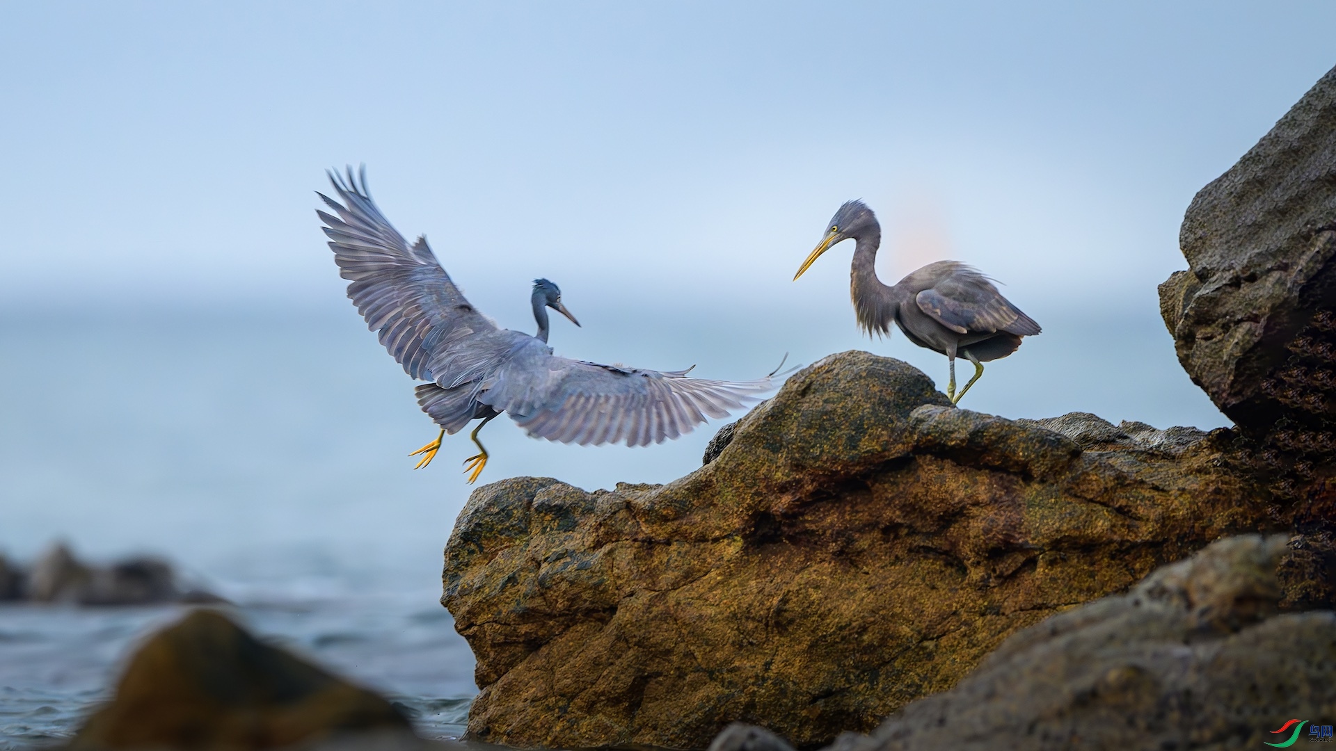 4_XXL5294-����ǿ-NR ����.jpeg