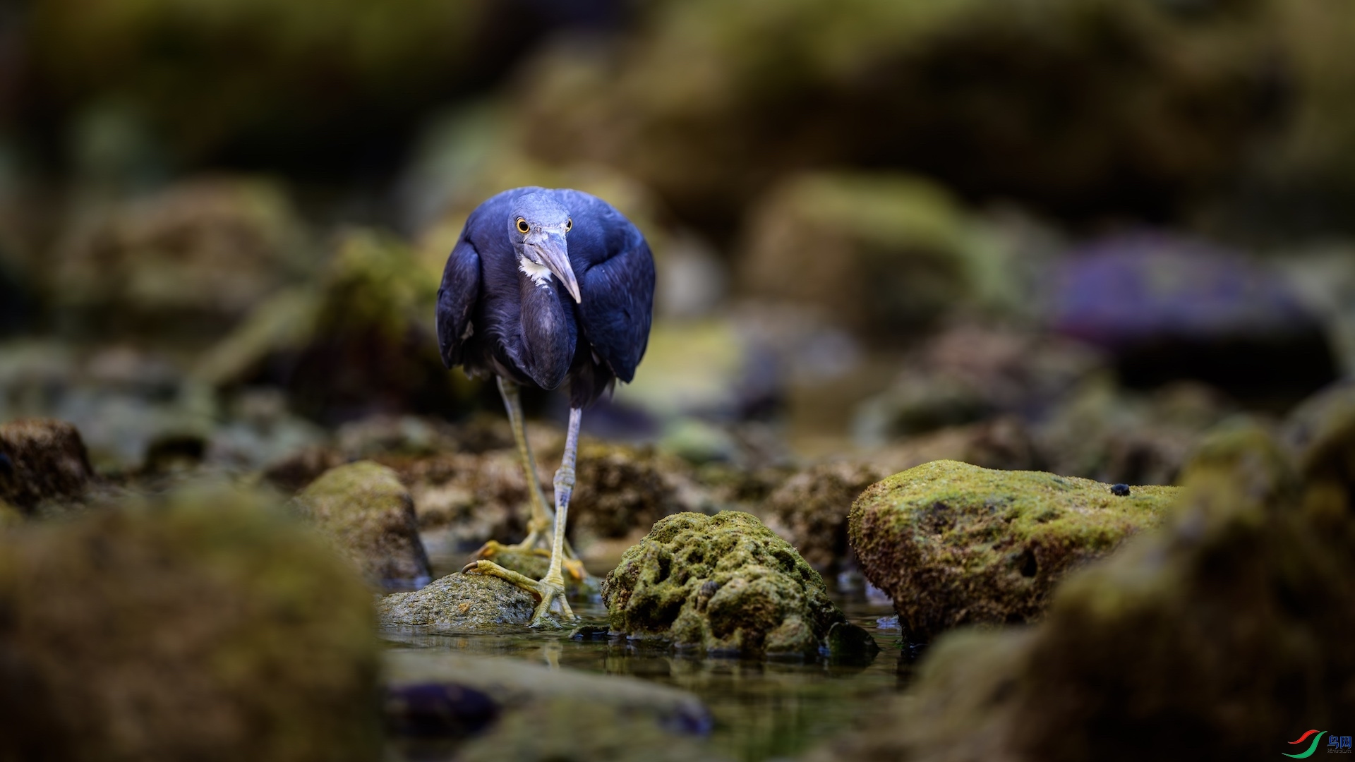 4_XXL5616-����ǿ-NR ����.jpeg