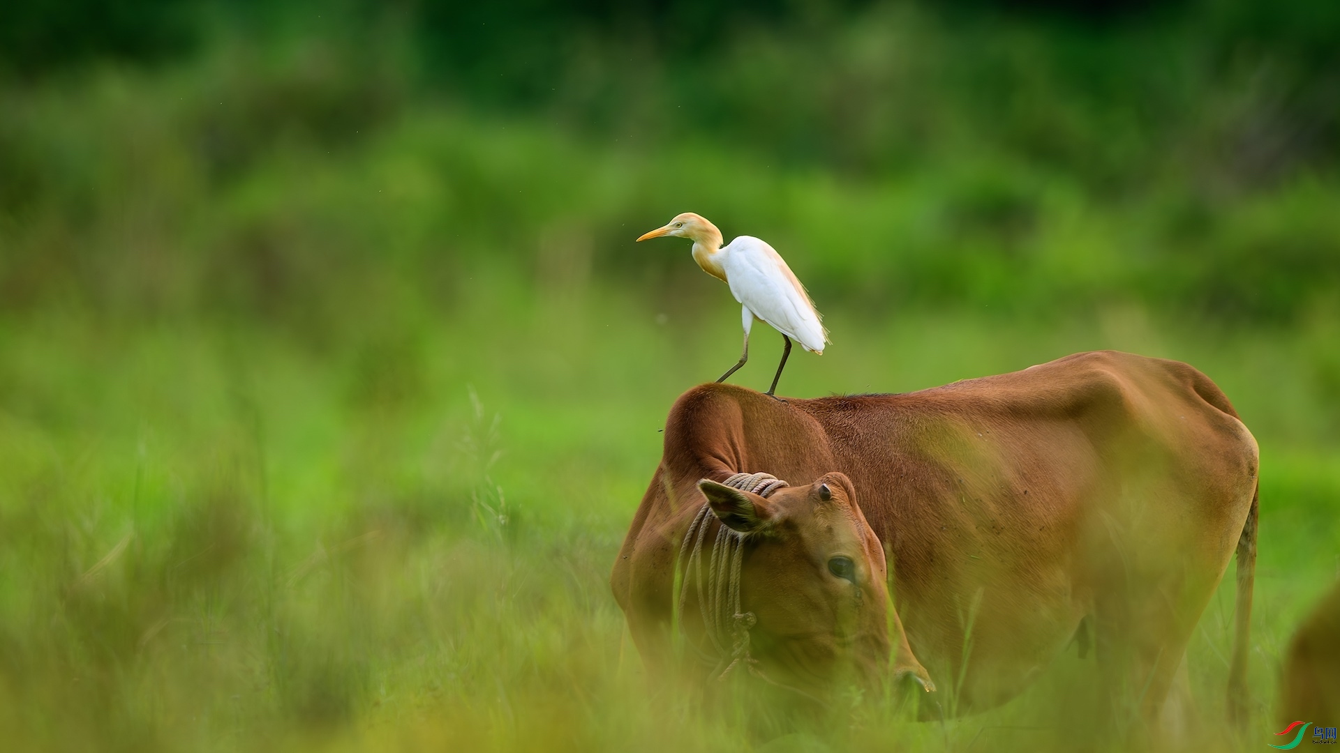 4_XXL8433-����ǿ-NR ����.jpeg