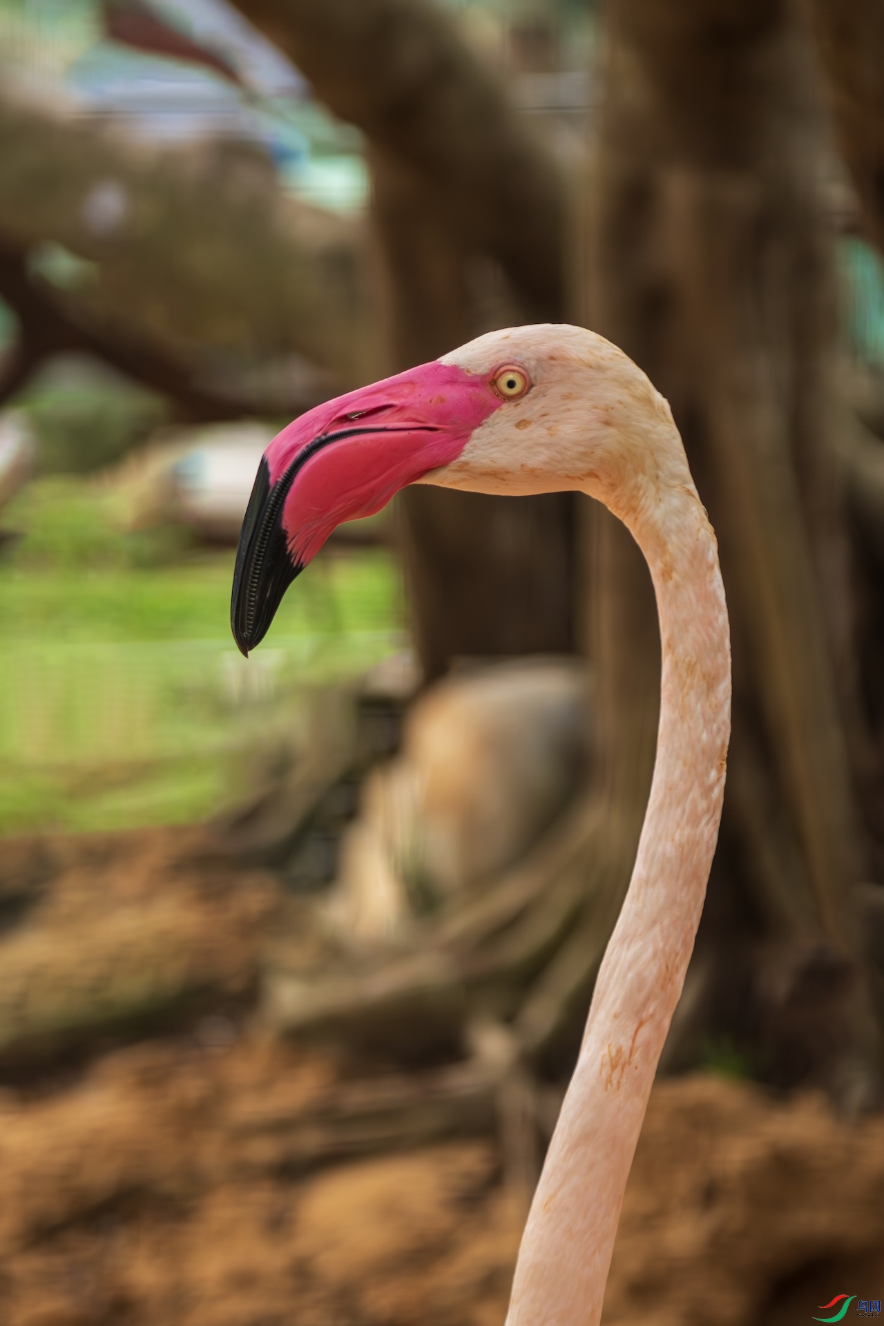 4_XXL8644-����ǿ-NR ����.jpeg