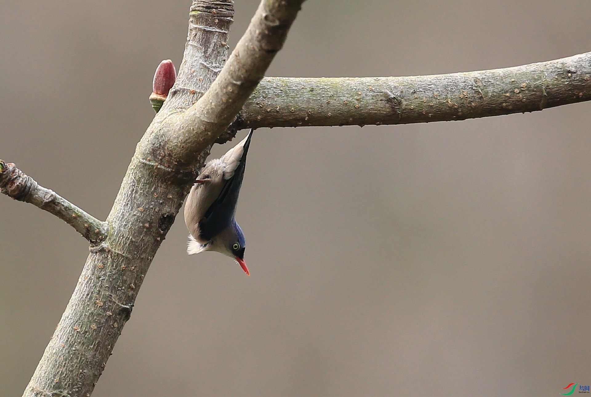 ���� IMGL3766.JPG