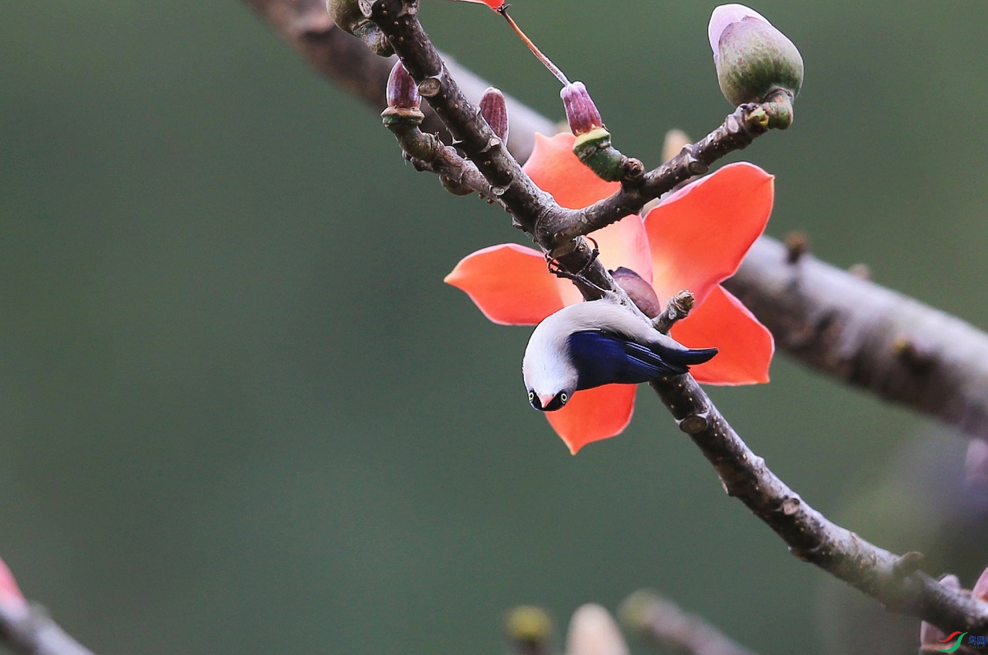 ���� IMGL4533.JPG