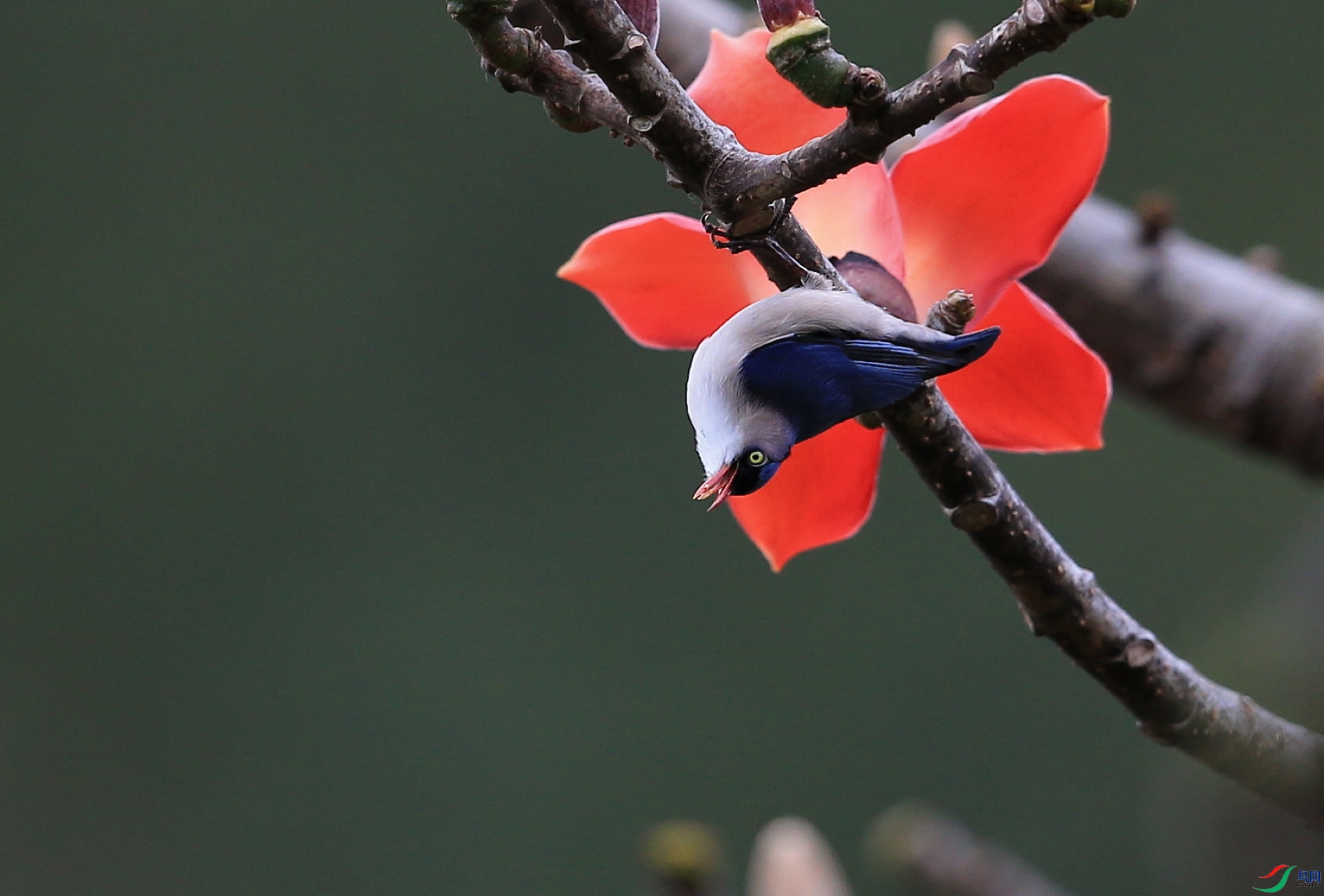 ���� IMGL4561.JPG