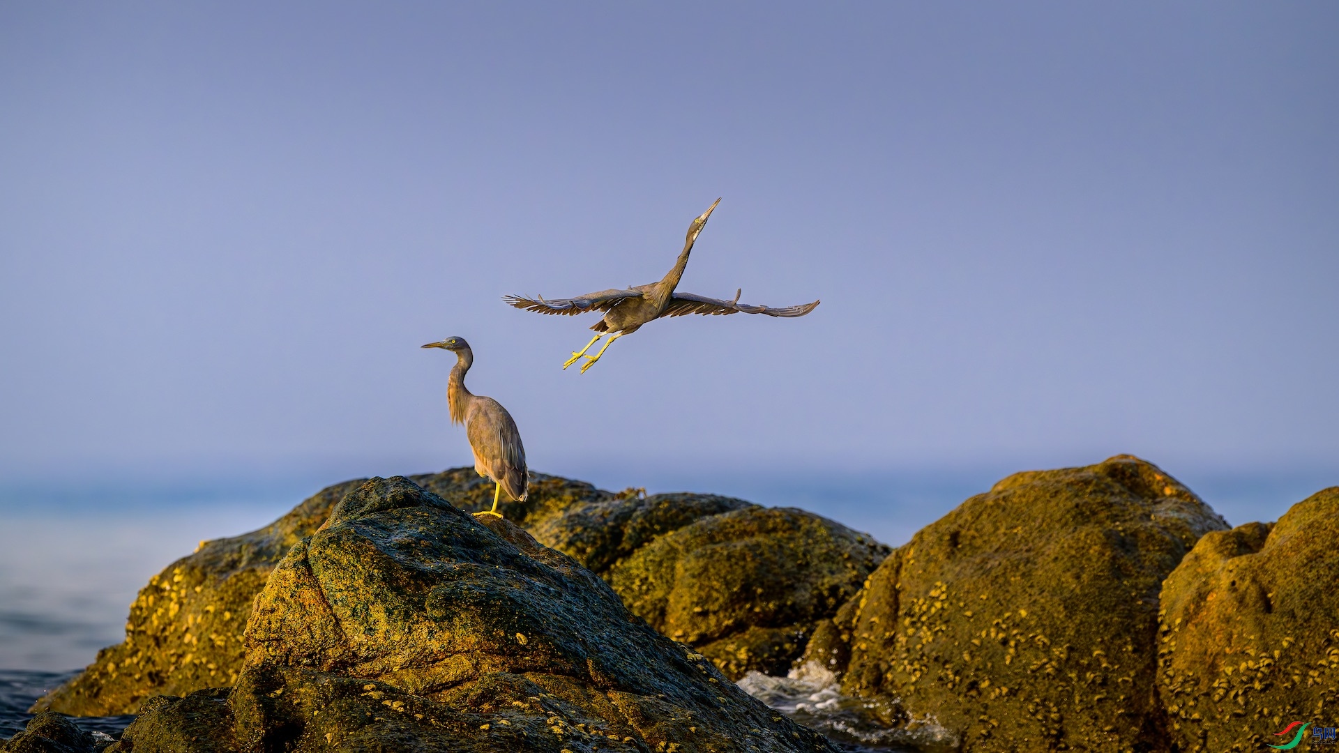 6_XXL9418-����ǿ-NR ����.jpeg