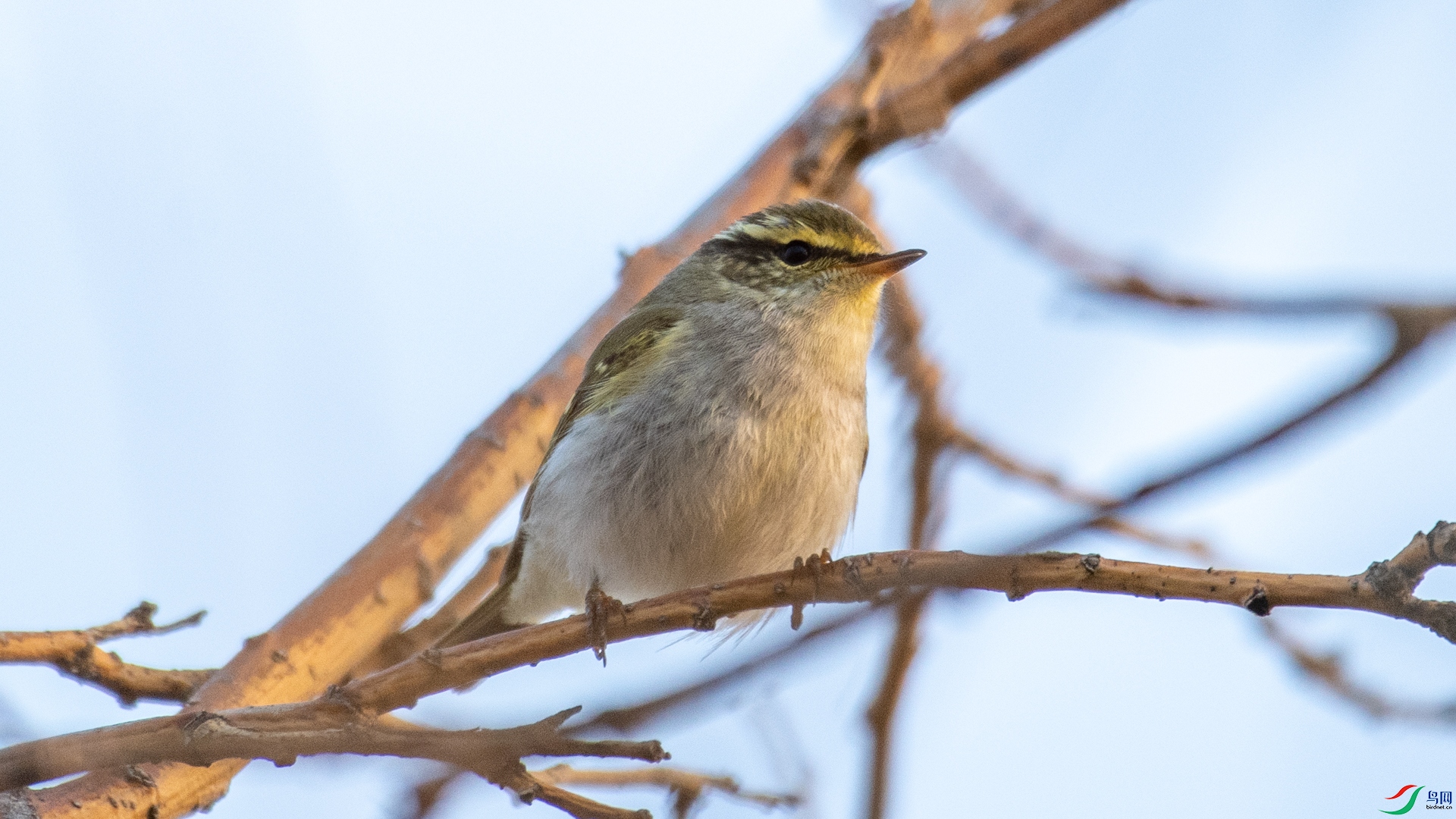 DSC_0306.jpg