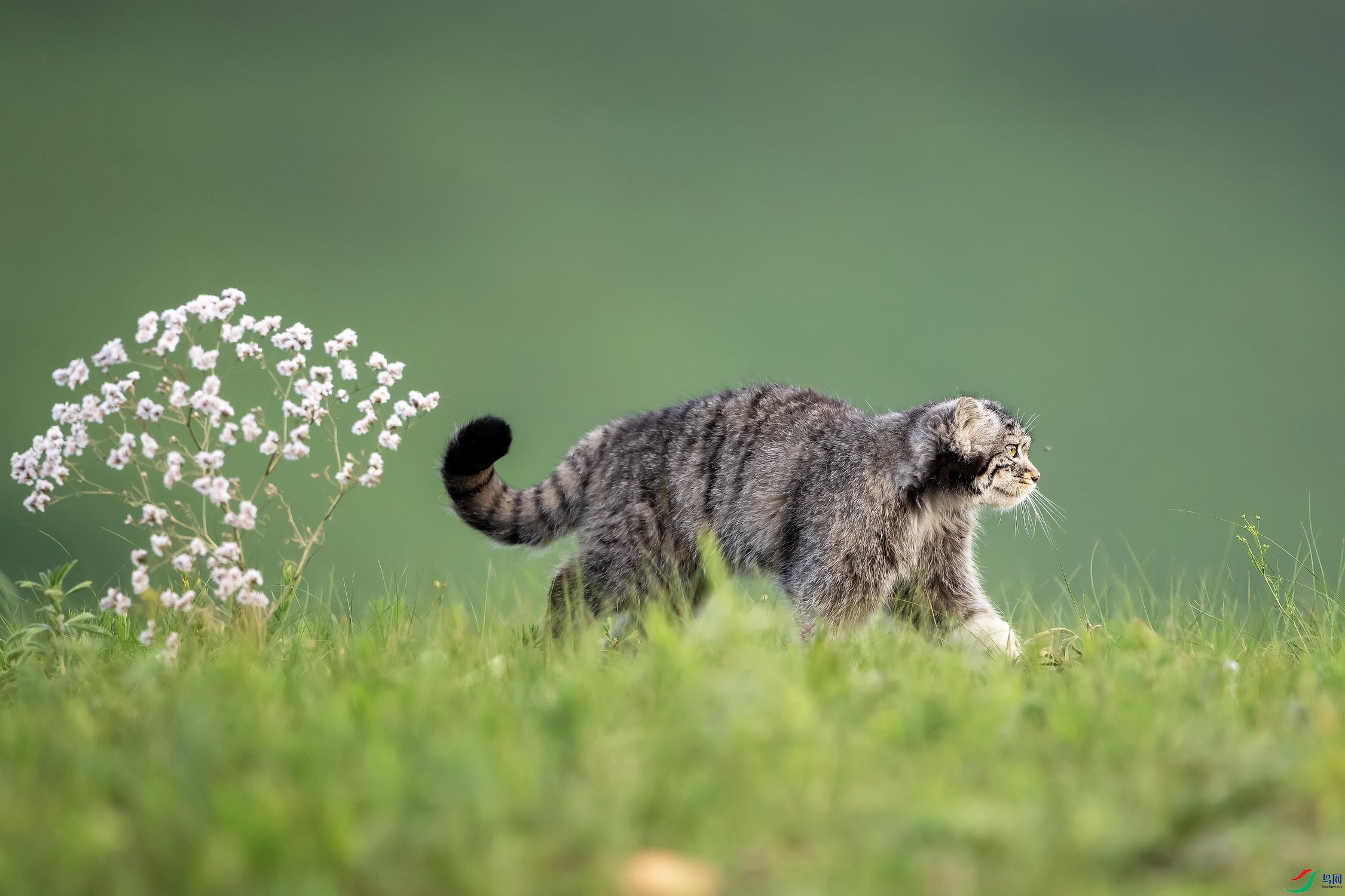 SEAH0342_������С.jpg