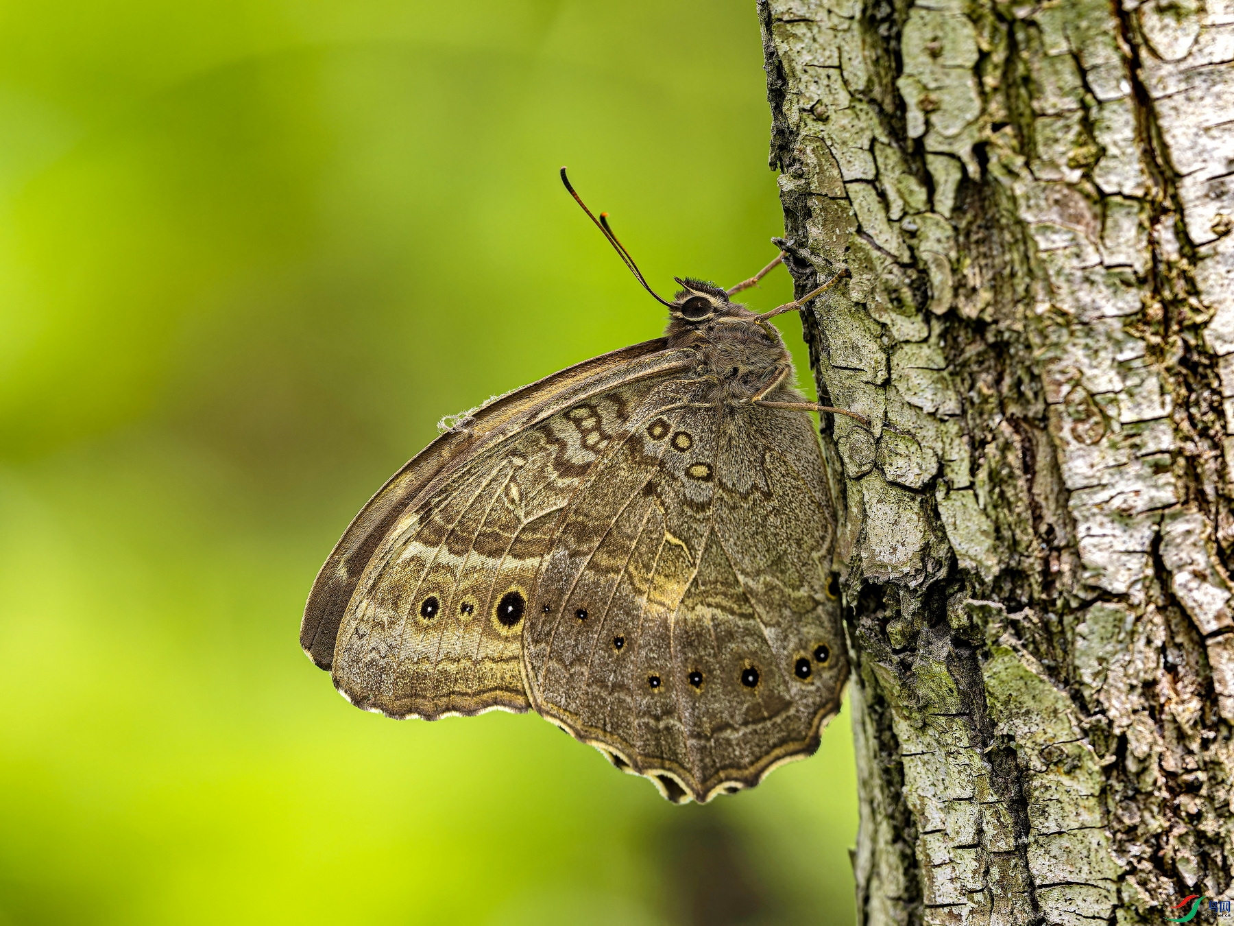 �������۵� (3)-1.jpg