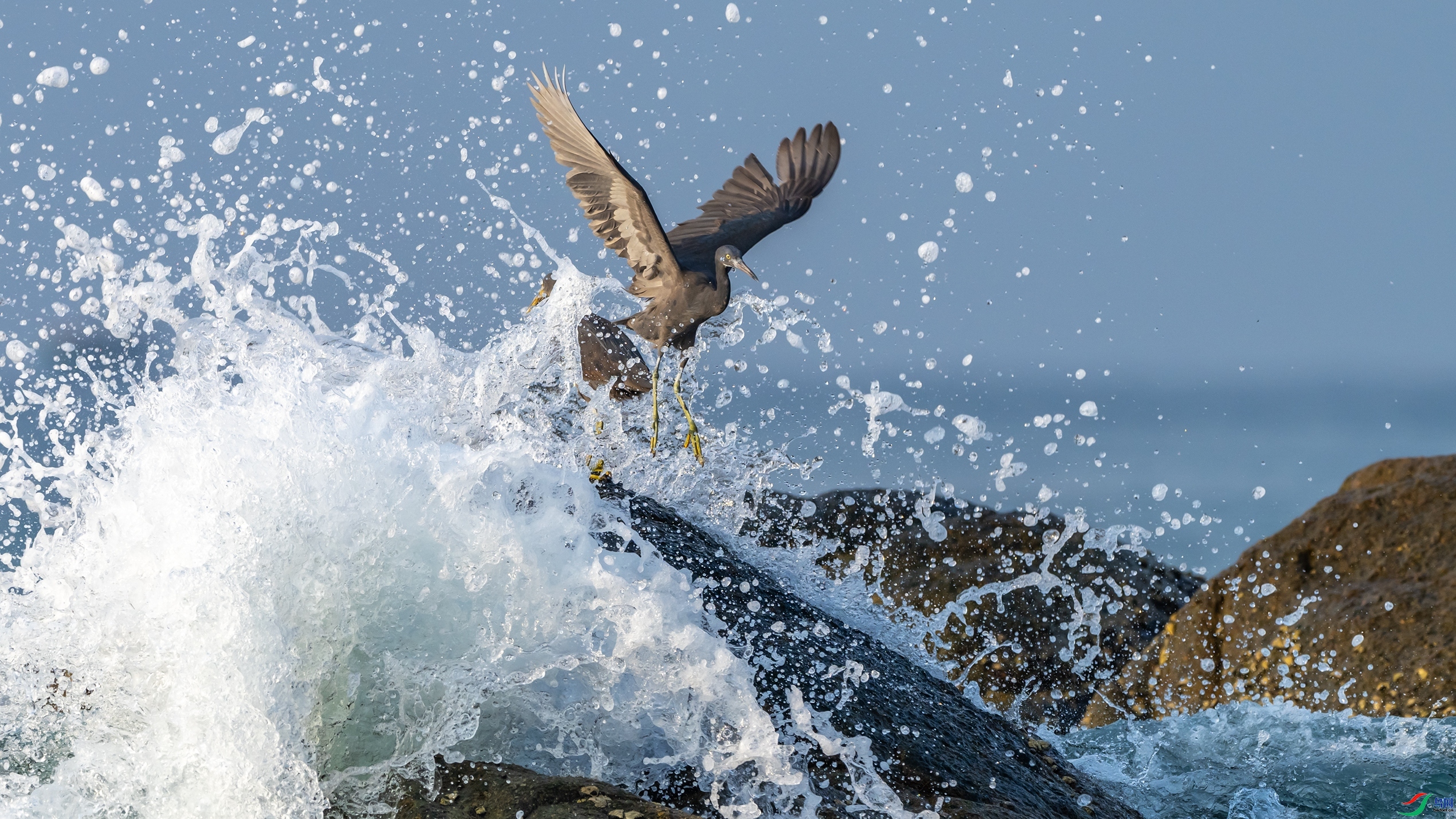 ��������  ���� ������ͷ ��һ.jpg