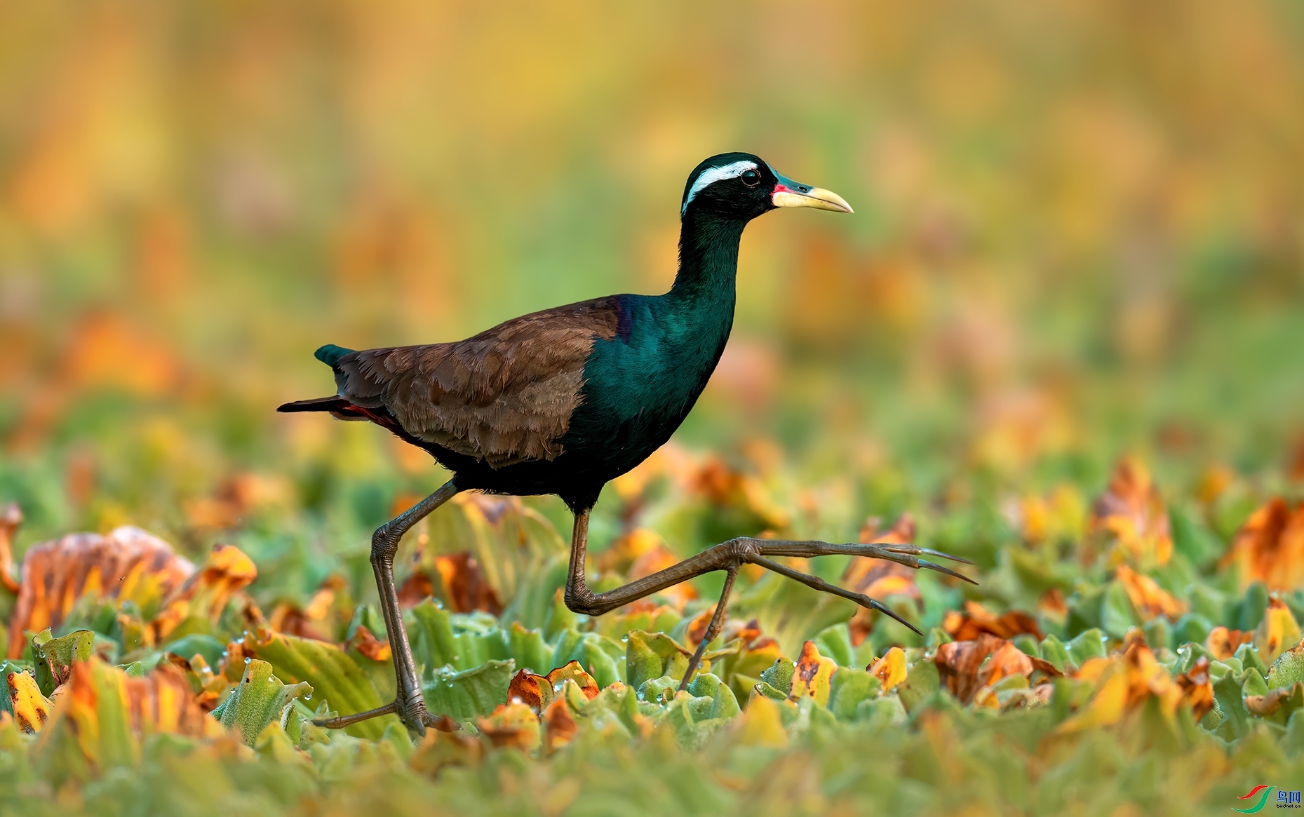 ÿ�ռ��� ͭ��ˮ�� ���� �������� ����.jpg