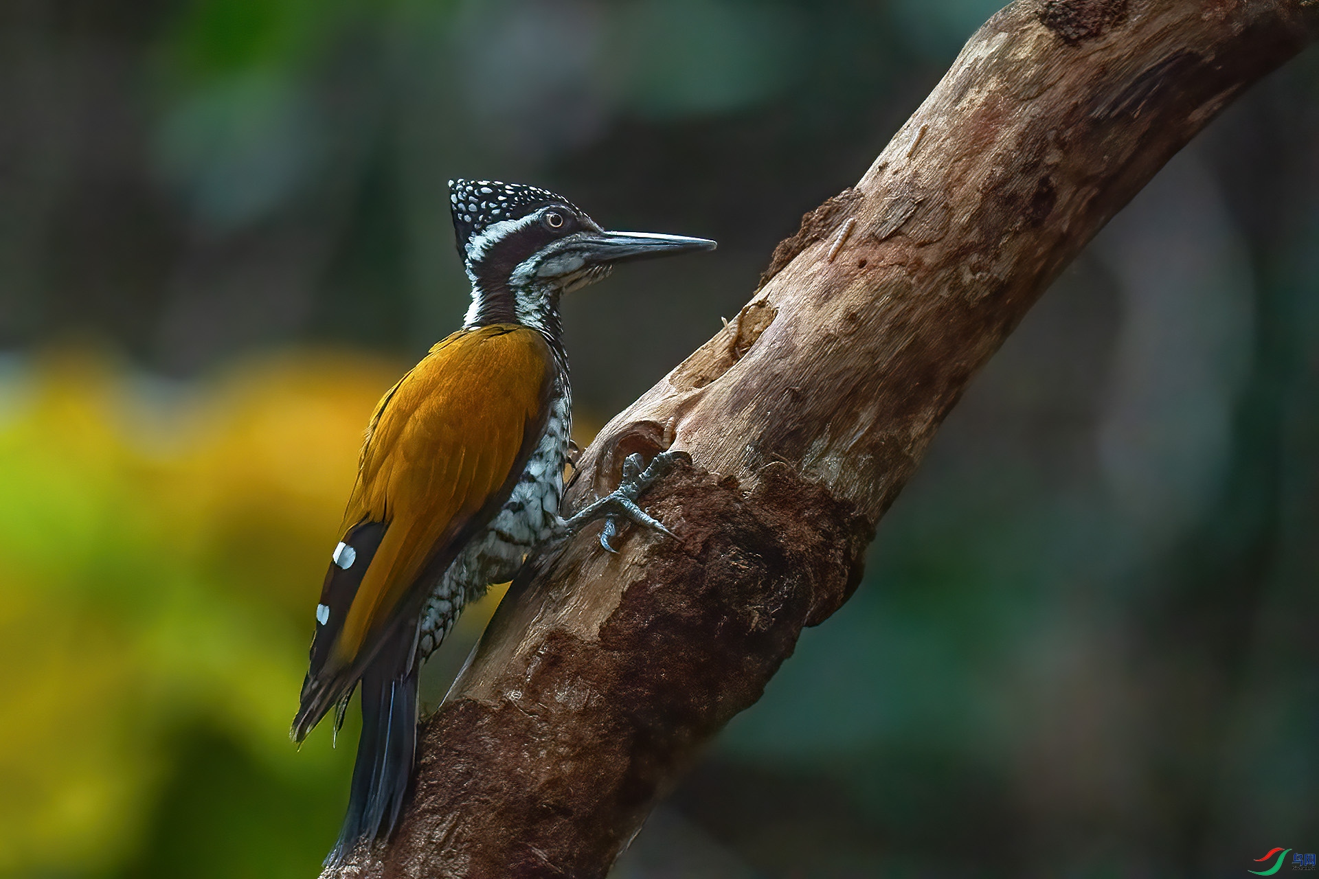 DSC_3252.jpg