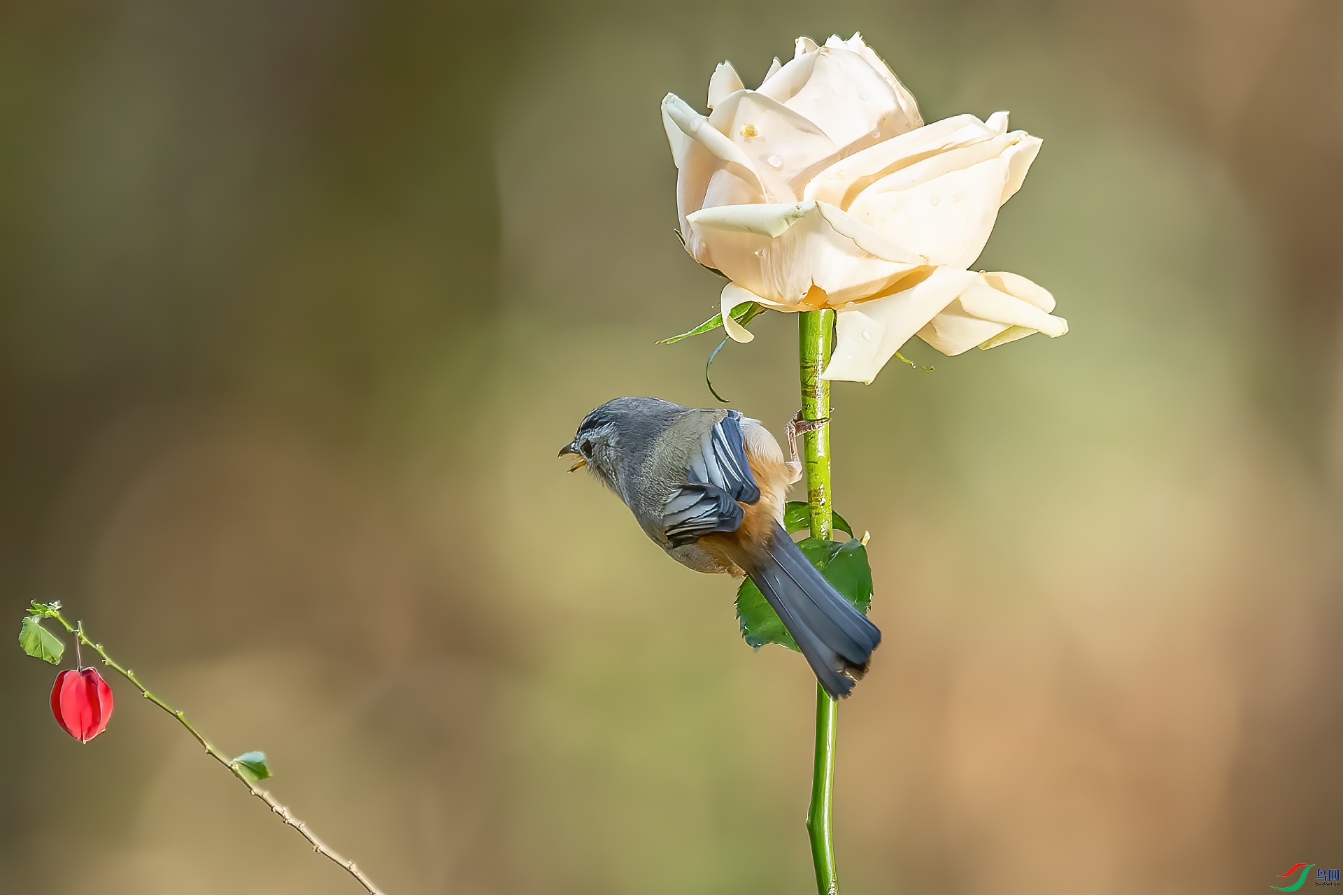 DSC_6923.jpg