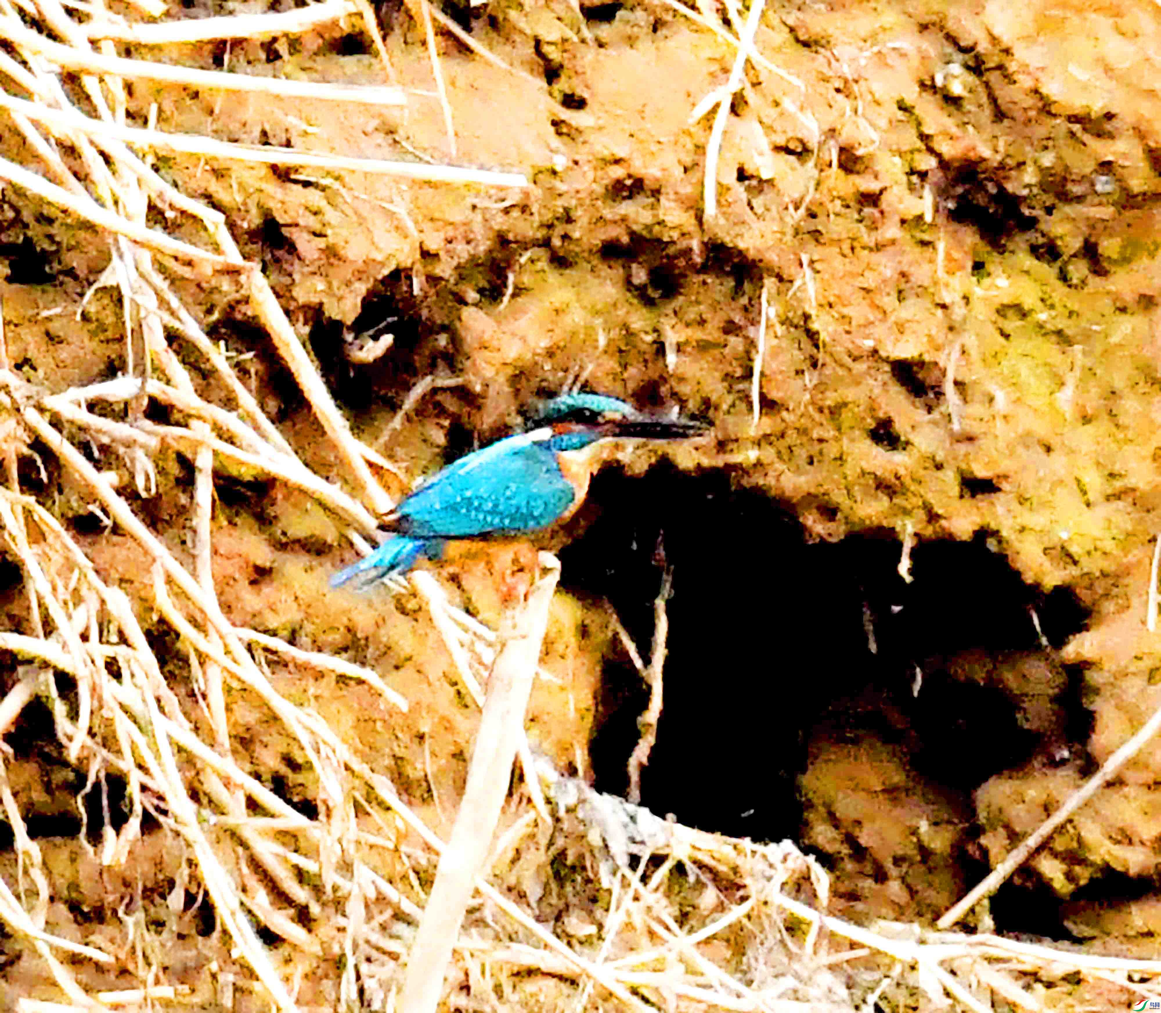 DSC_9112.JPG