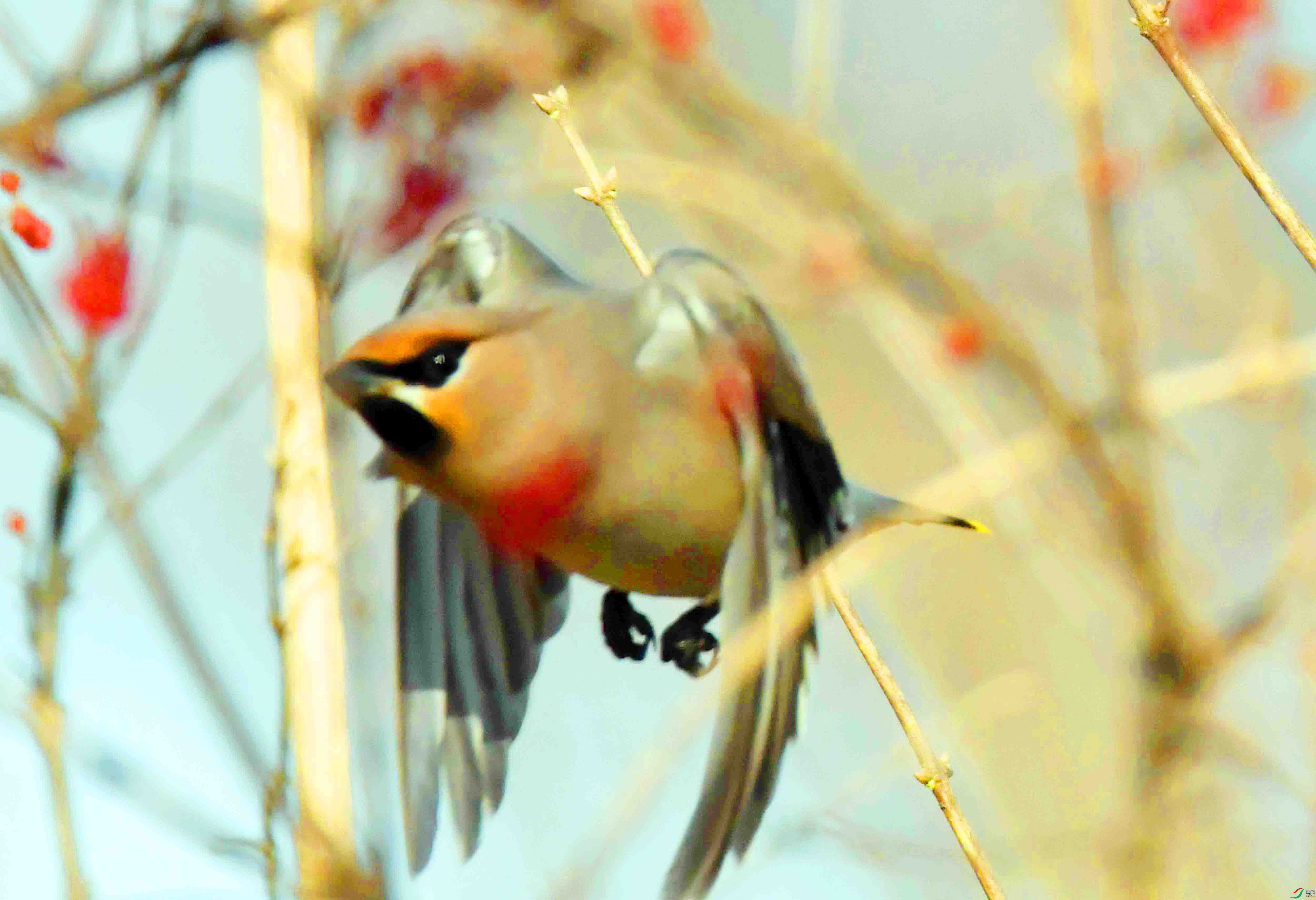 DSC_8363.JPG