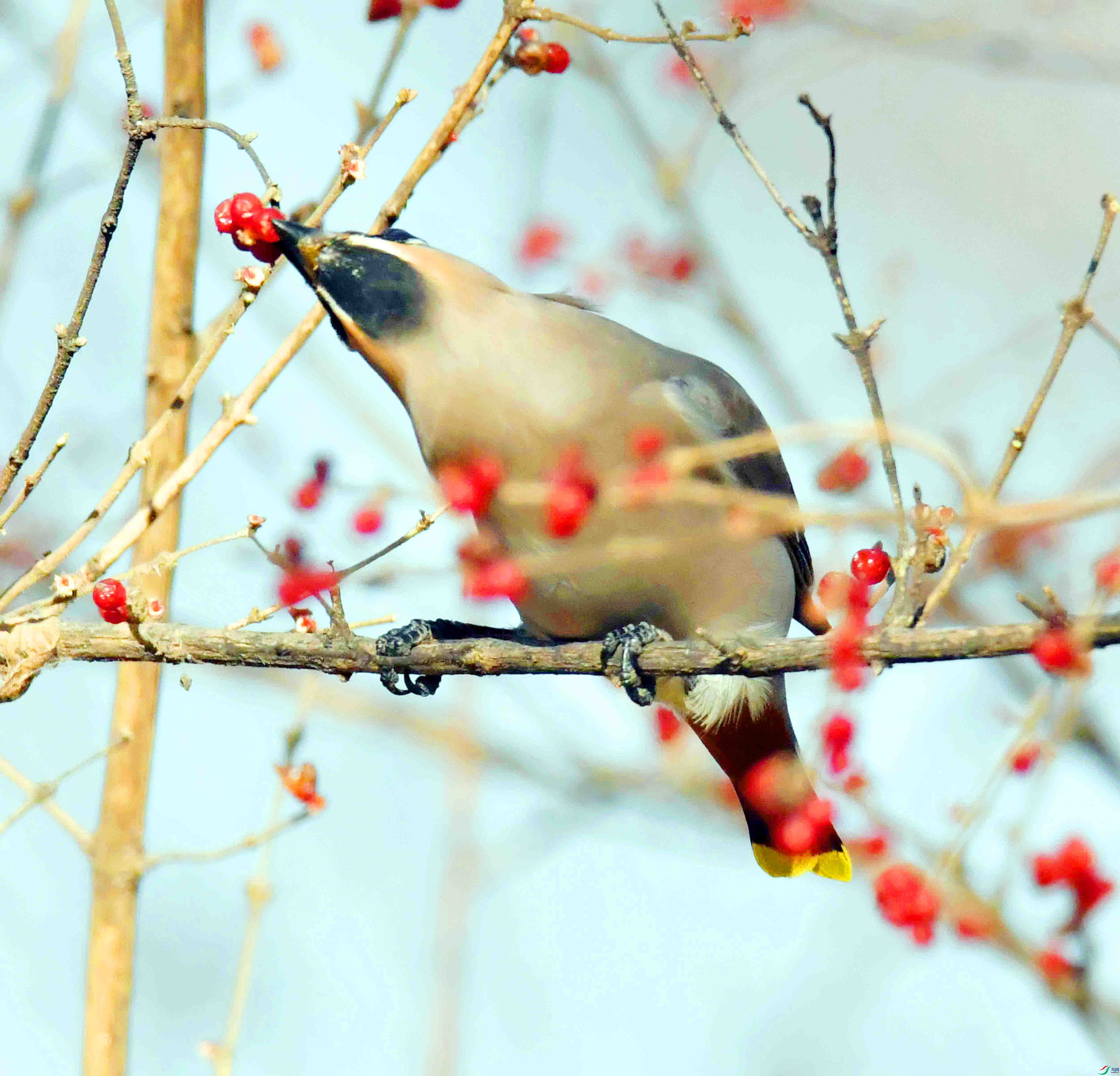 DSC_8384.JPG
