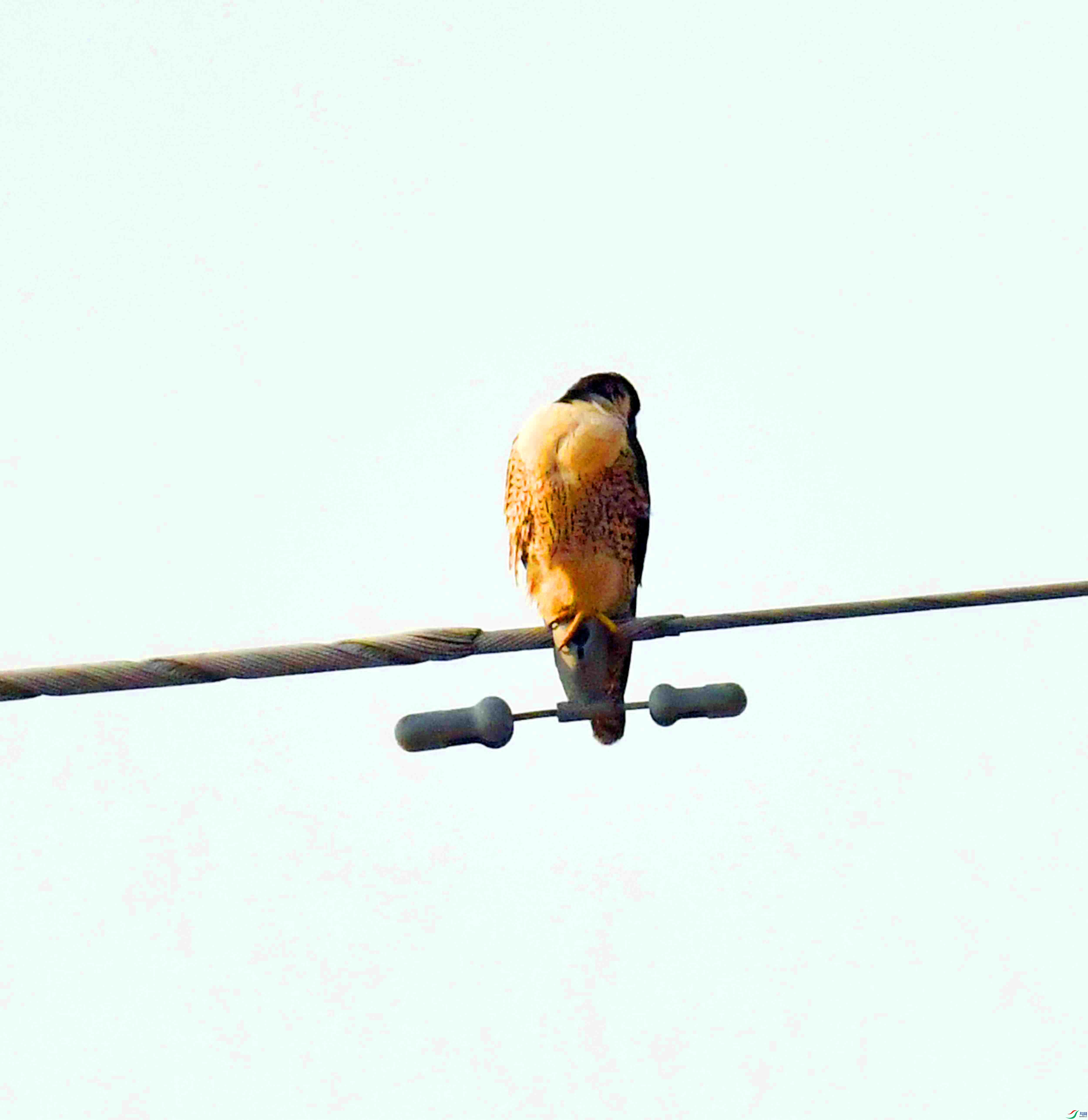 DSC_1541.JPG