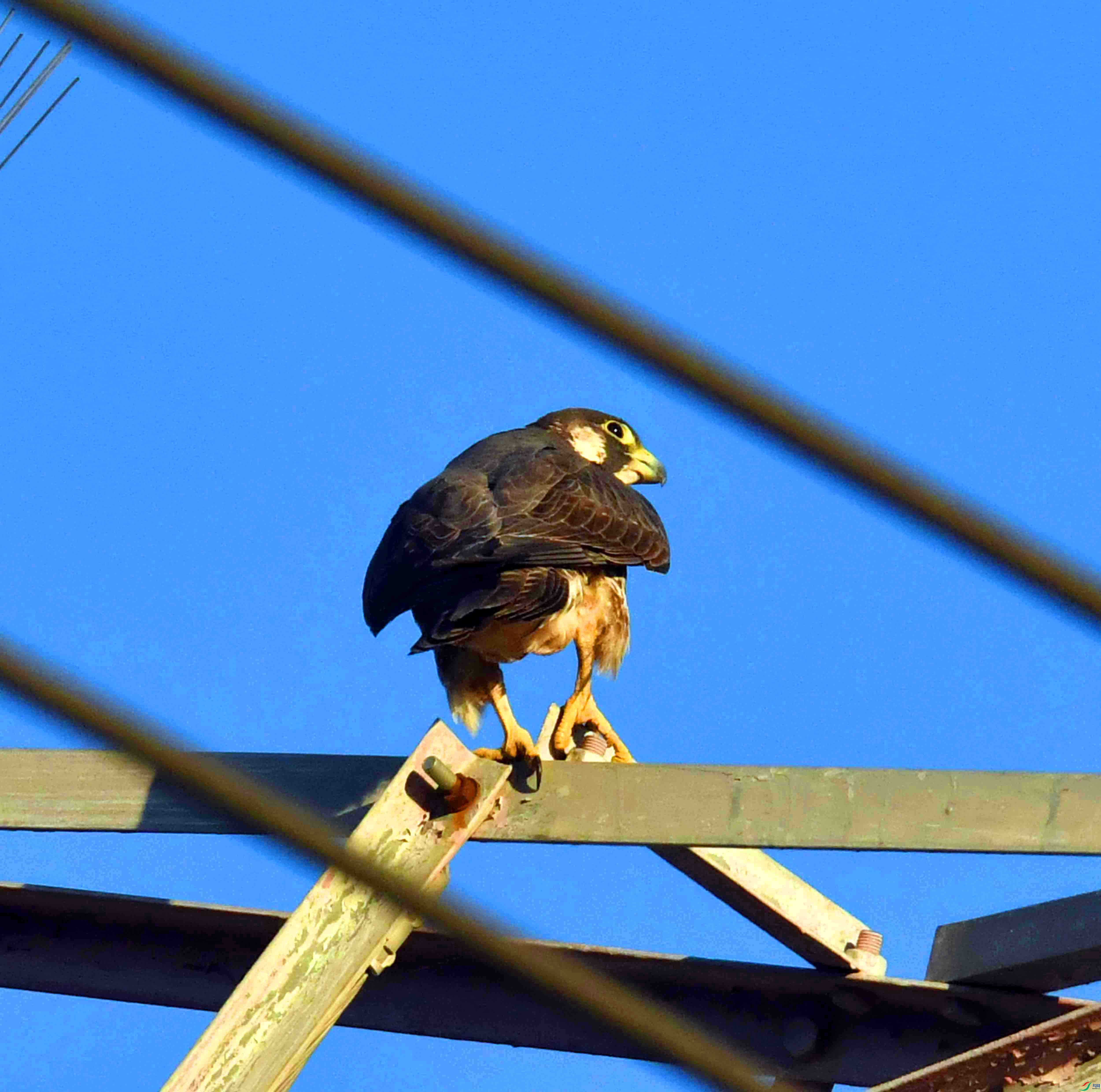 DSC_2256.JPG