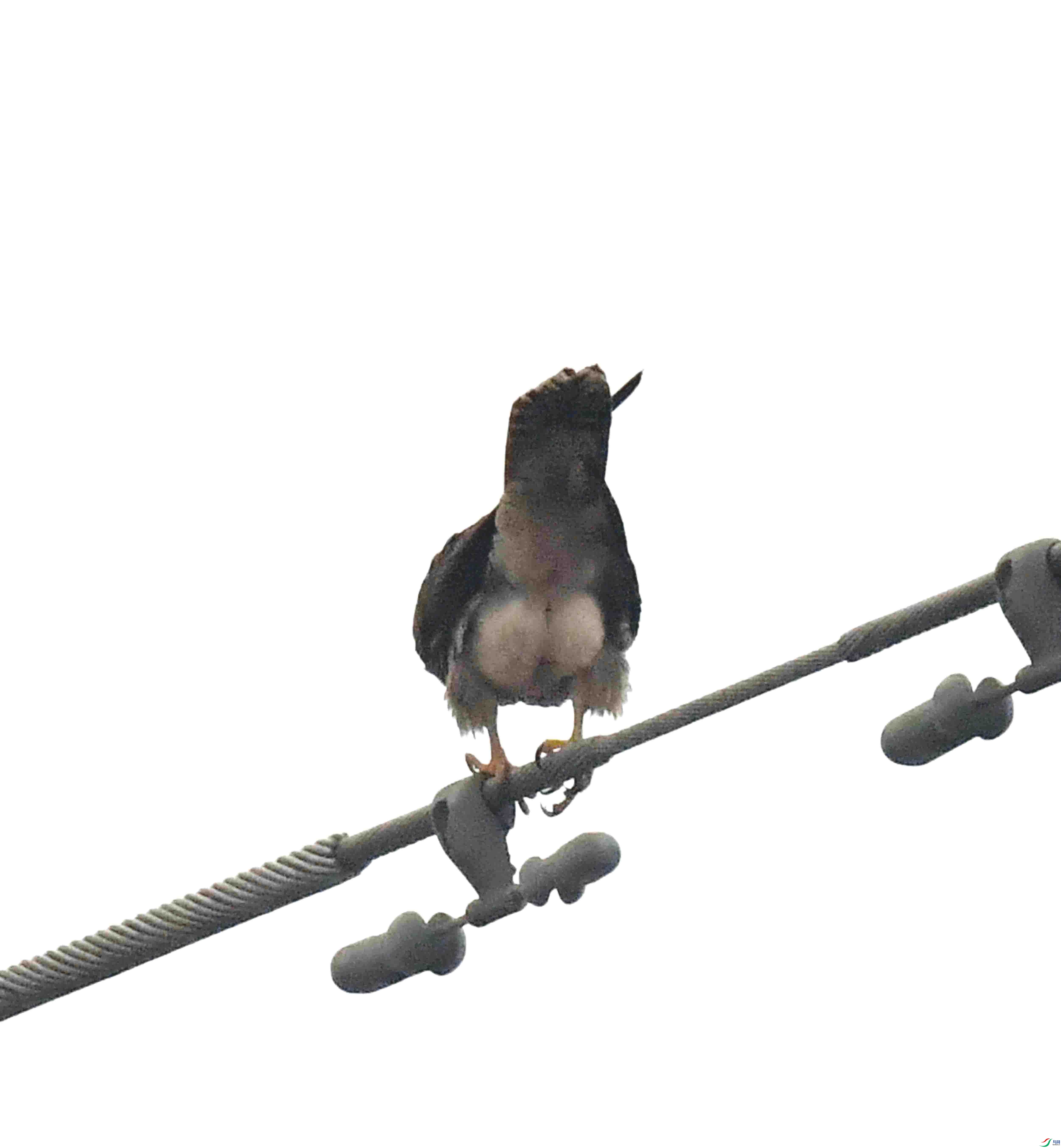 DSC_3990.JPG