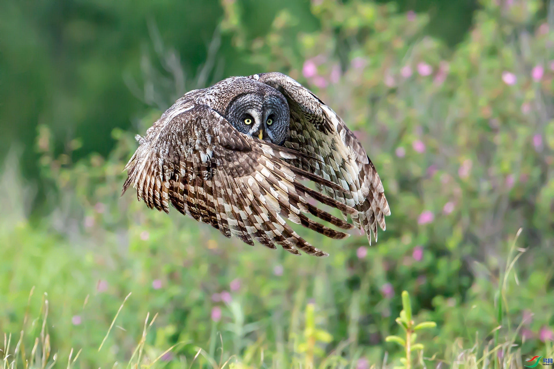 ���ɶ���  ���� ����ǿ ����.jpg