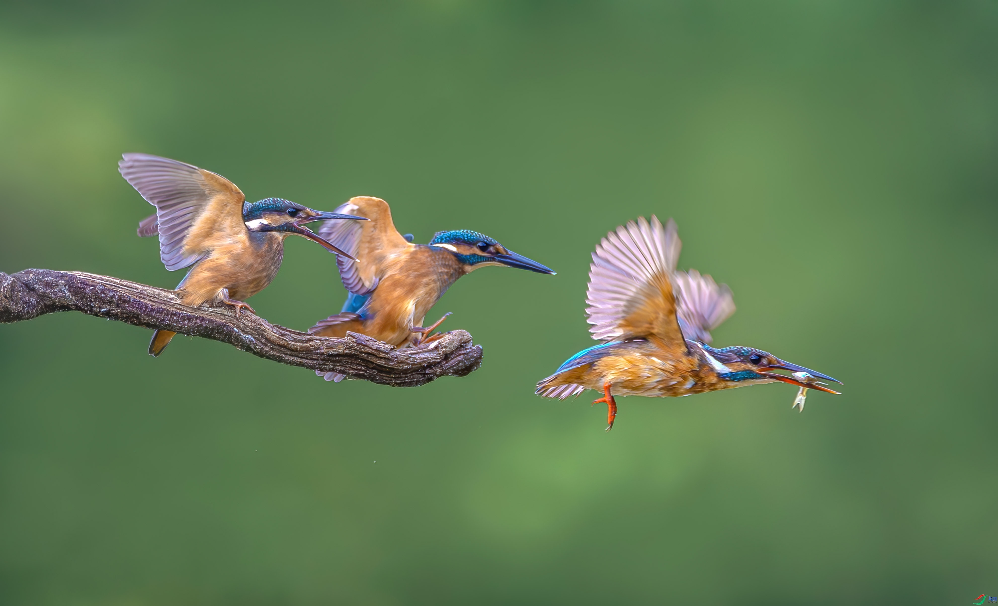 С��  ���� �ܸ� ����.jpg