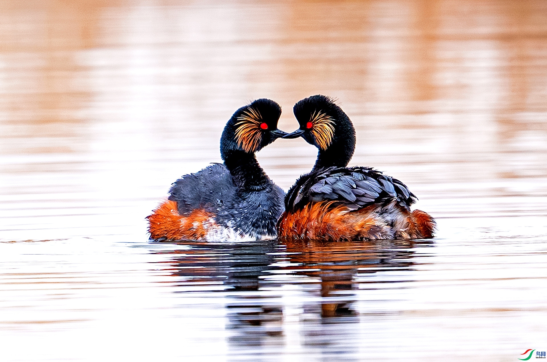 ���� ����  �ս� ����.jpg