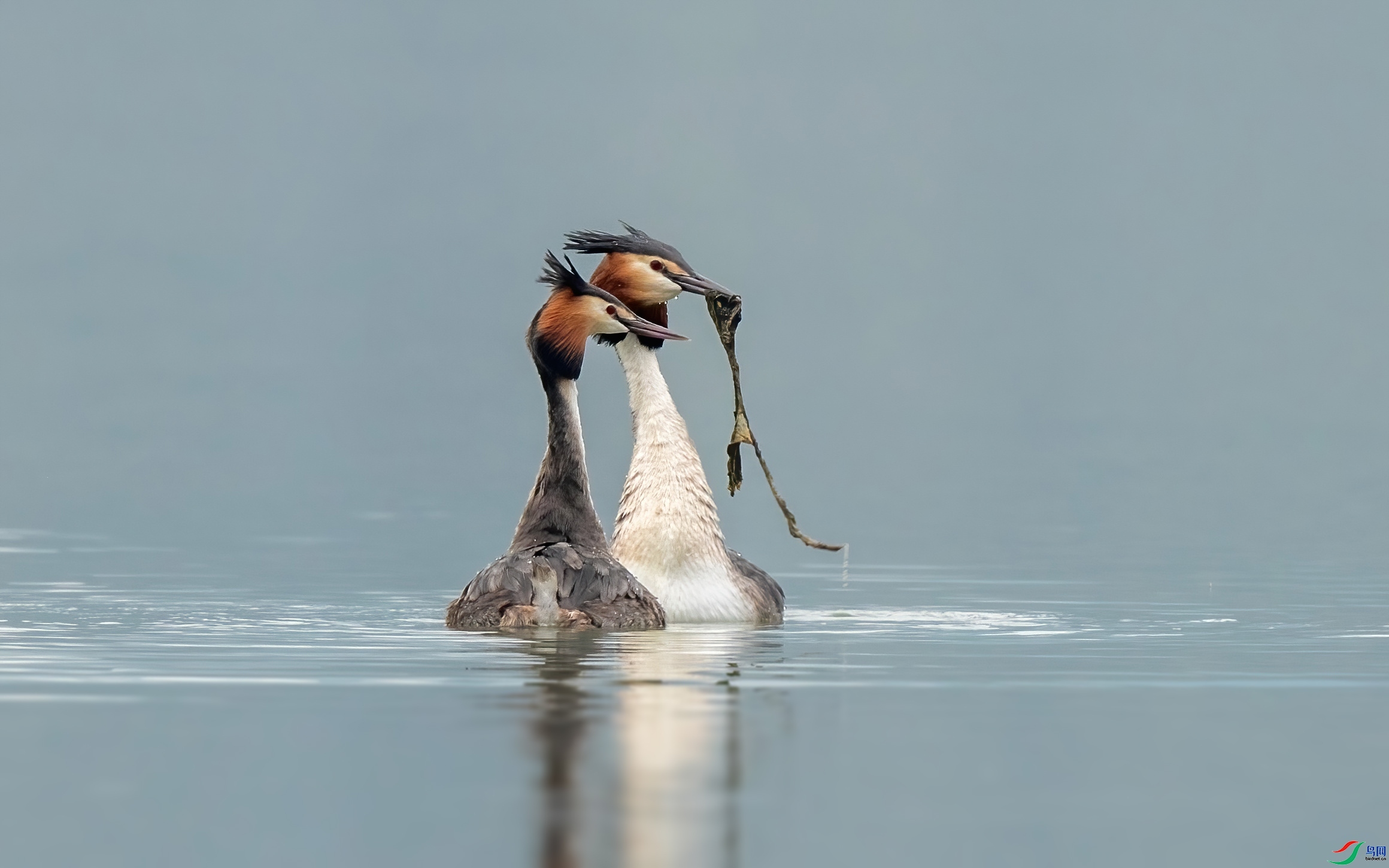 �������� ���� �ɶ��Ͻ� ����.jpg