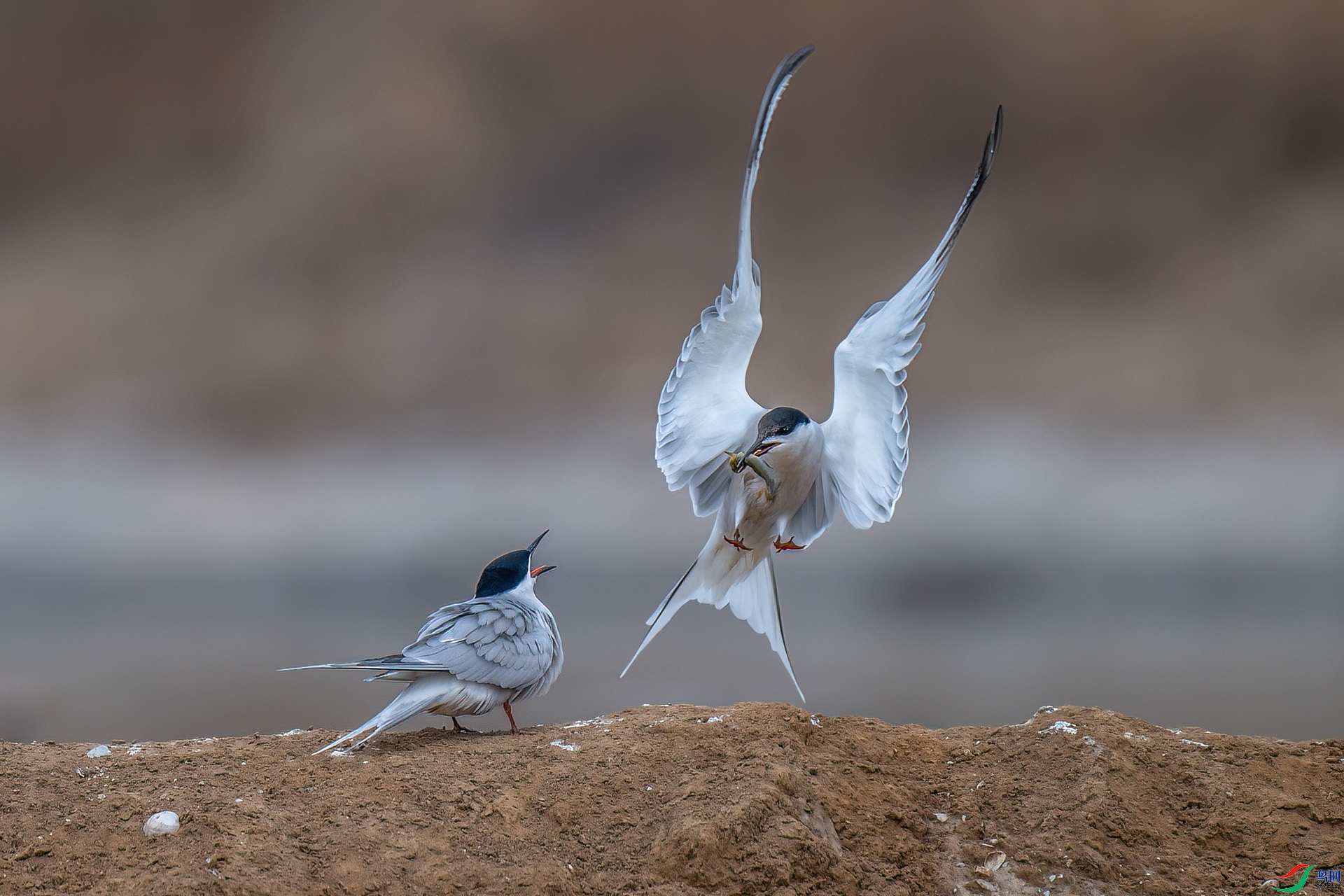 ��  ���� ��ѧ�� ����.jpg