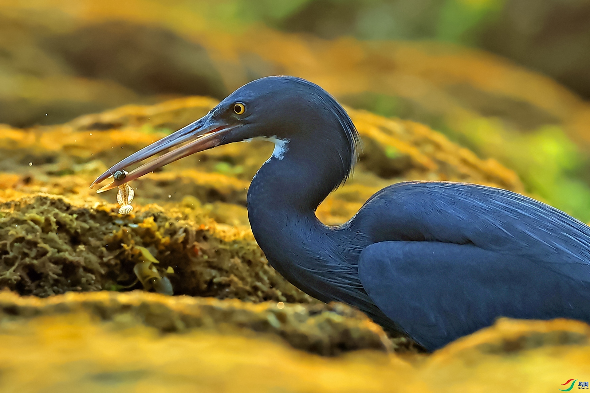 ���� ���� ������ ����.jpg