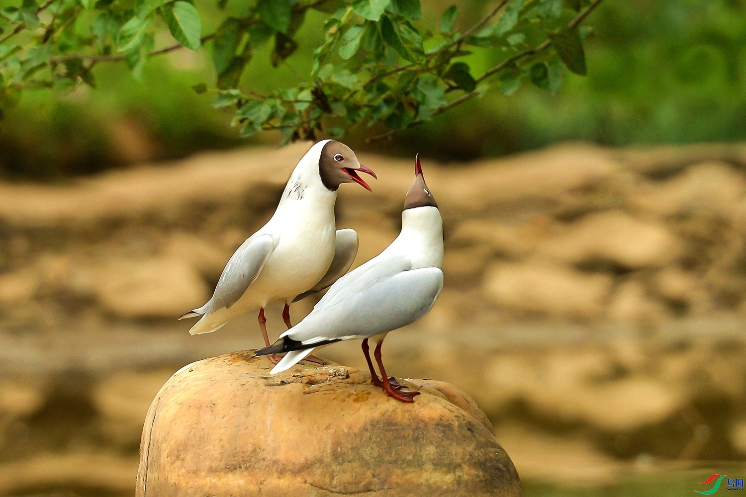 ��̸ ���� ͧ�� ����.jpg