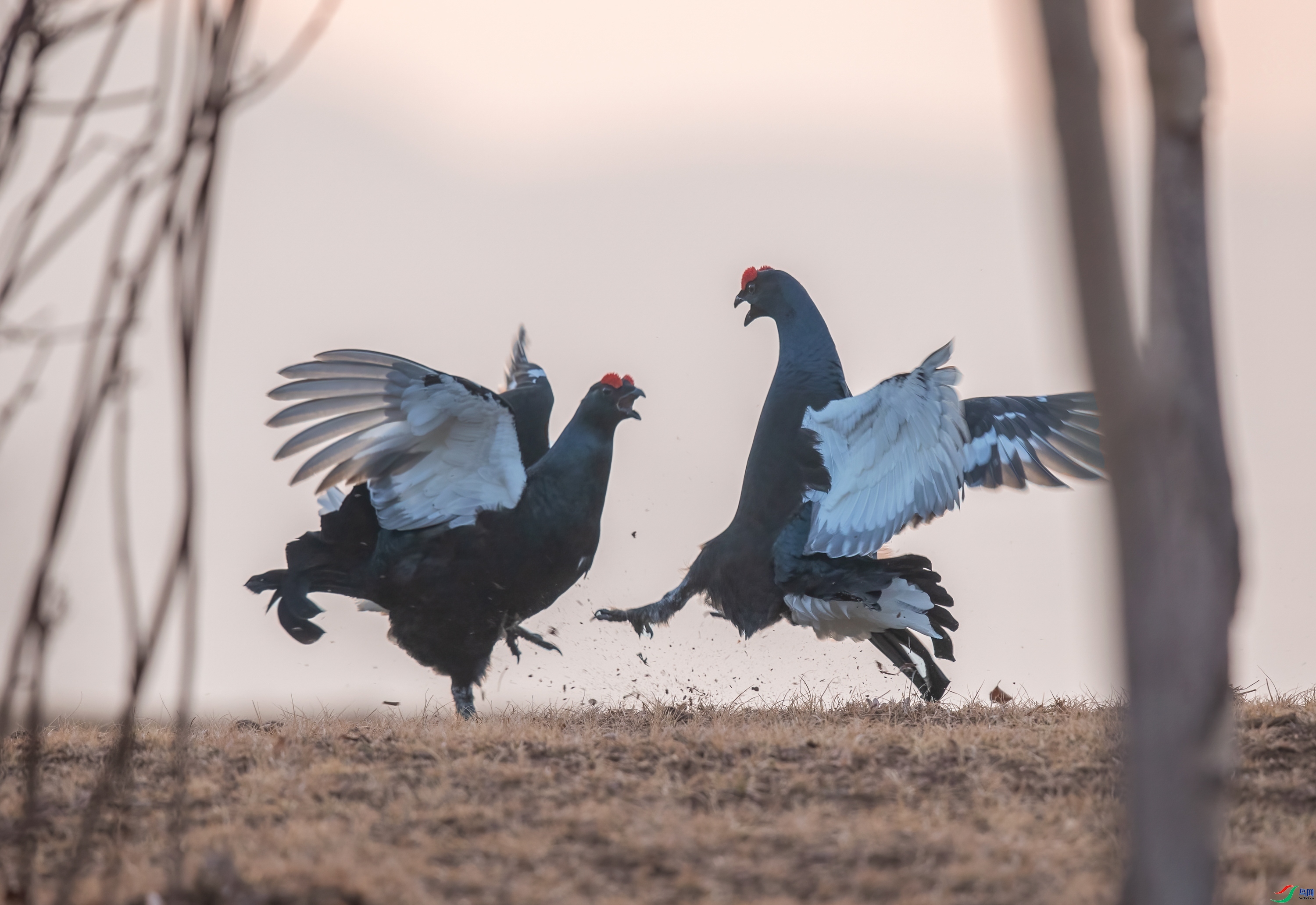 �ּ����� ���� һ·���� ����.jpg