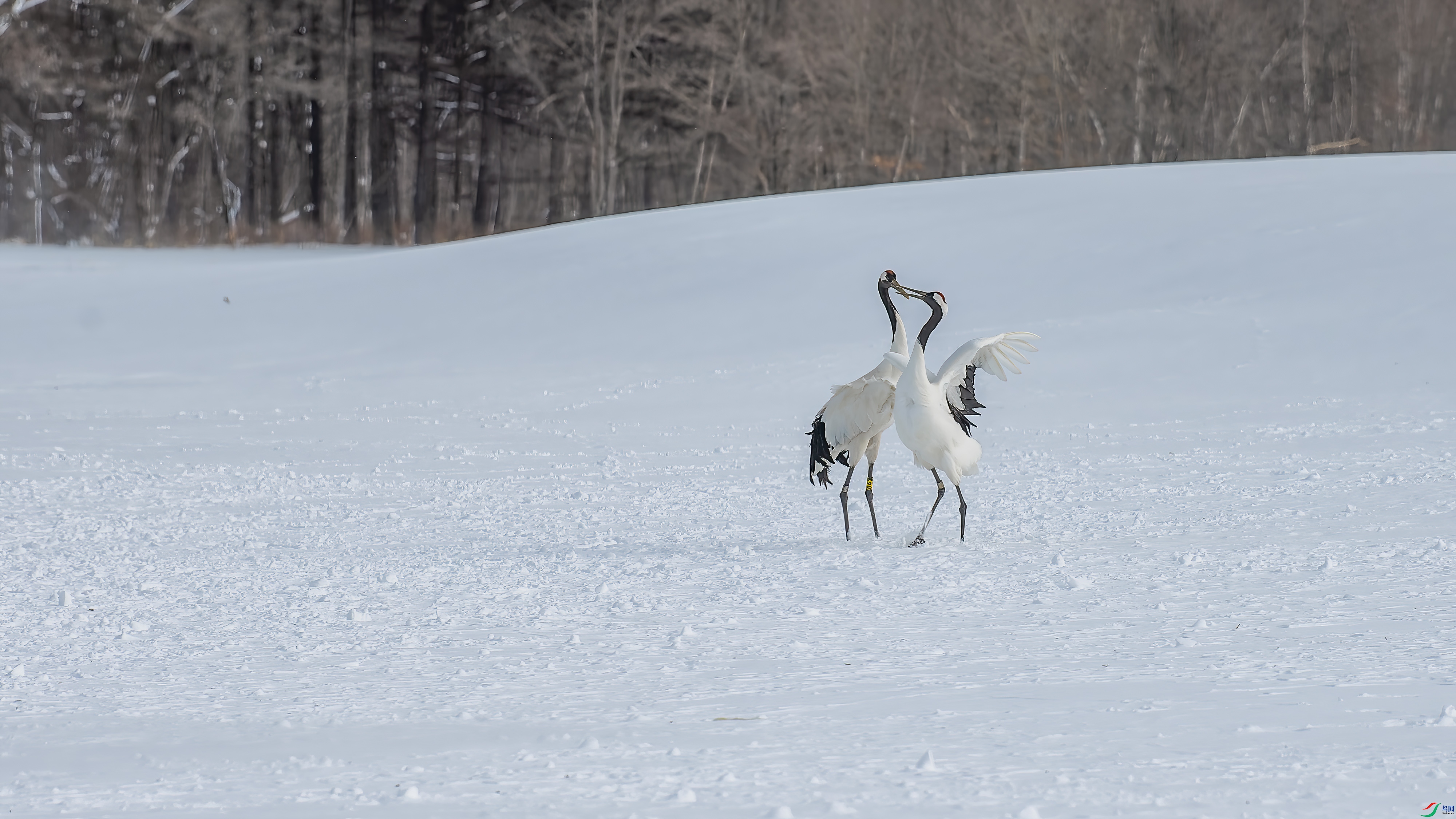 DSC_4412.jpg