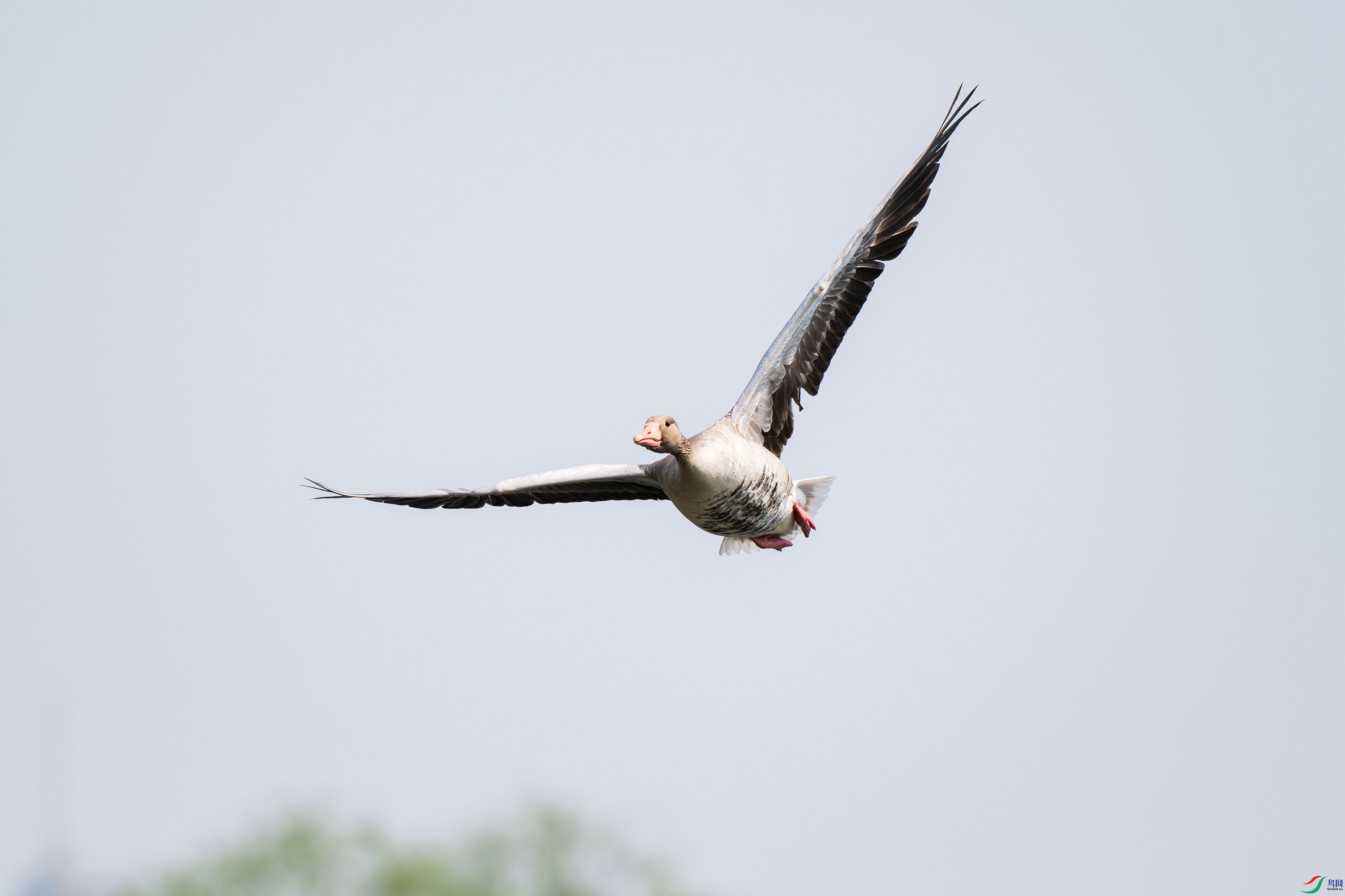 DSC_0073.jpg